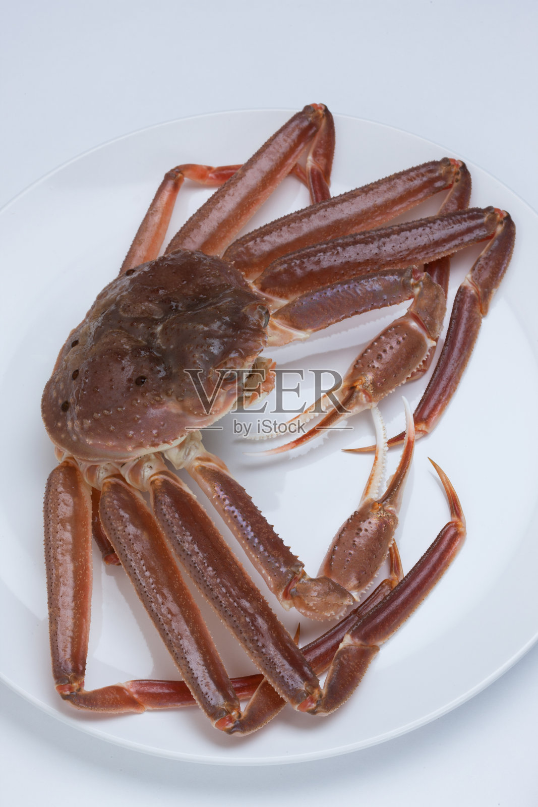 雪蟹照片摄影图片