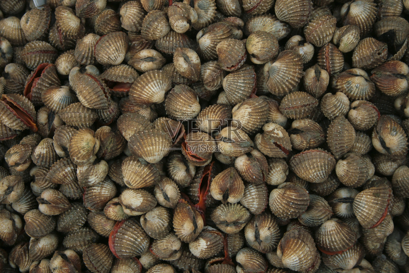 起皱照片摄影图片