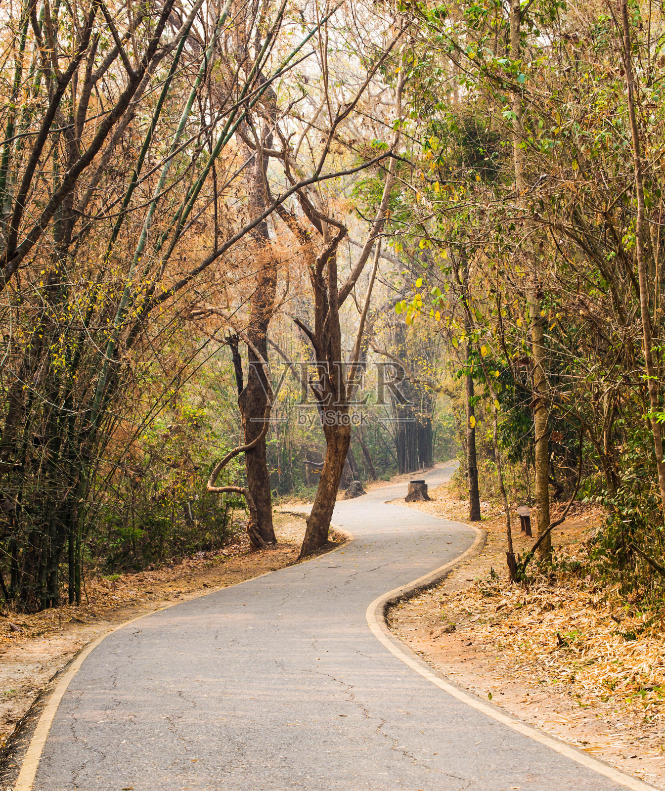 沥青路面照片摄影图片