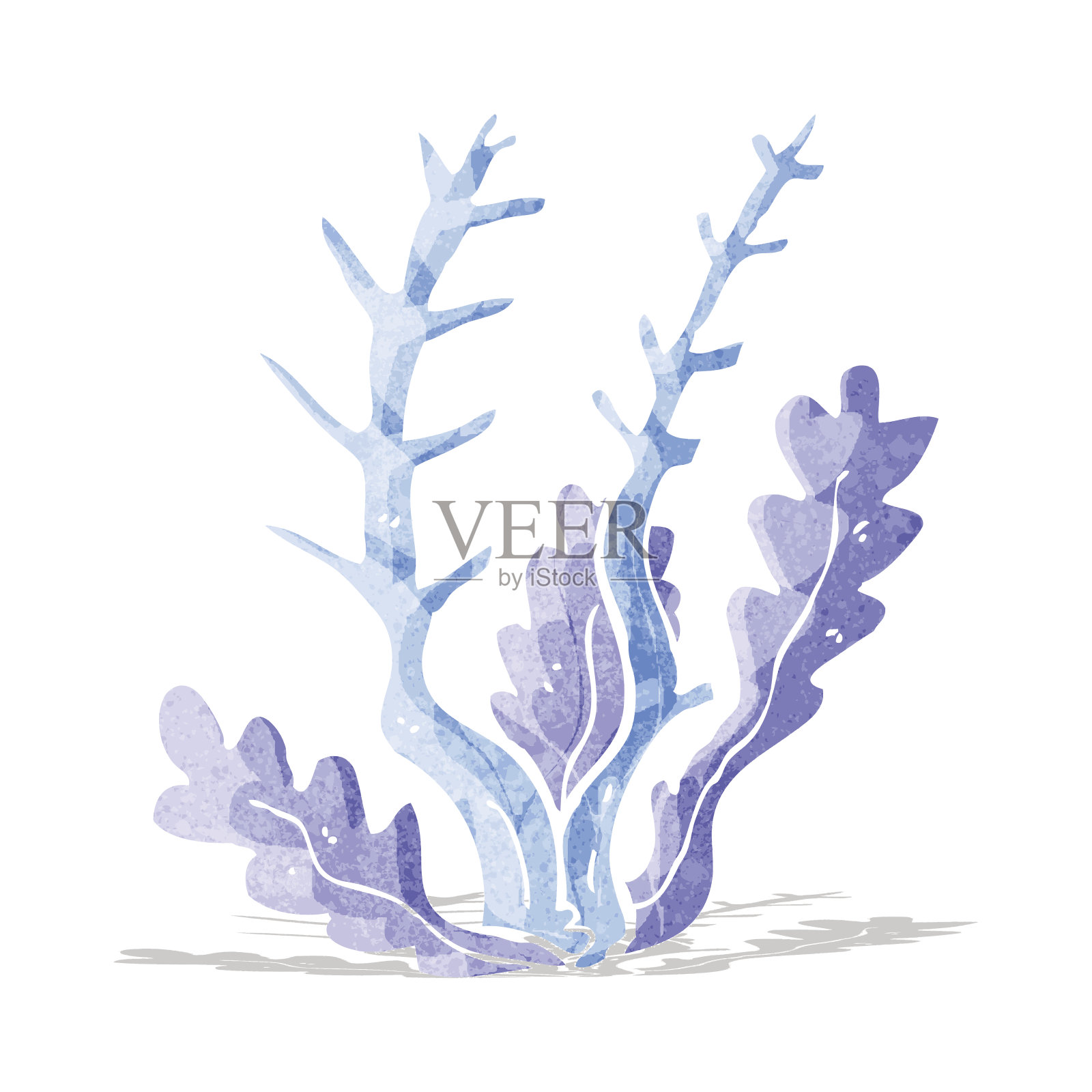 卡通海藻插画图片素材