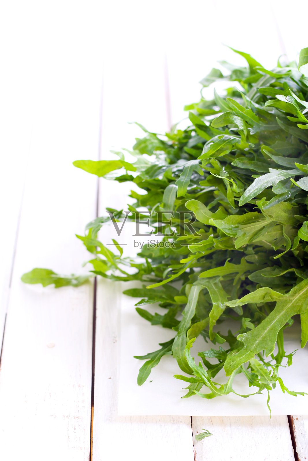 一束火箭树叶照片摄影图片