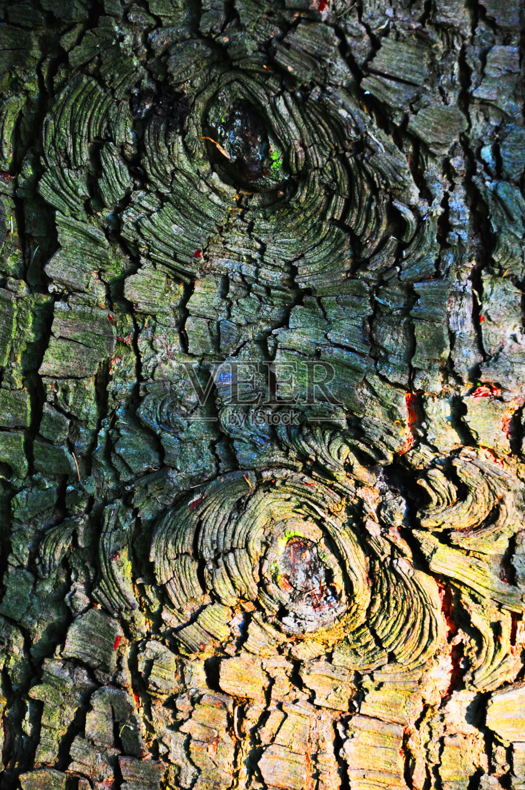 树皮照片摄影图片