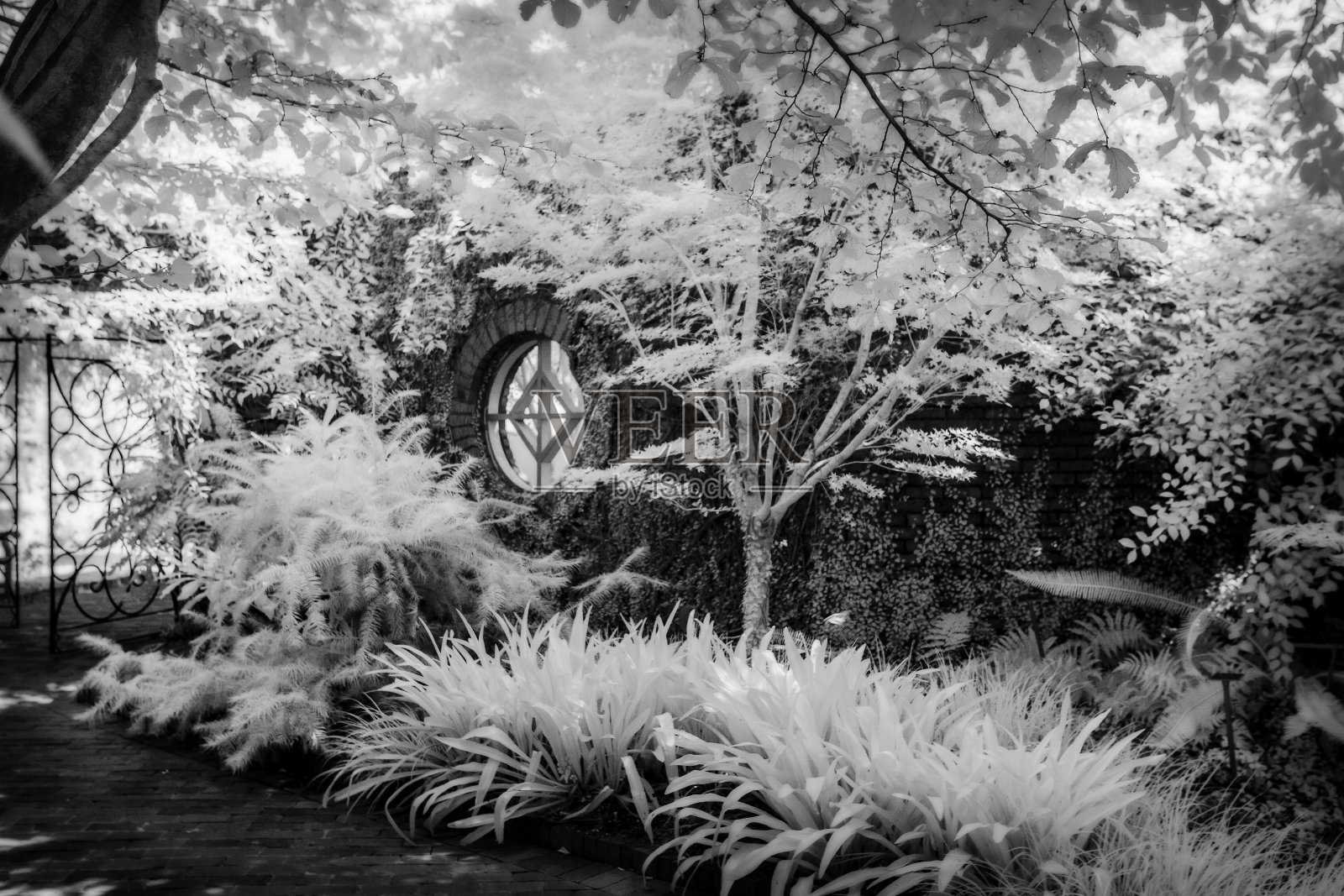 花园红外窗口照片摄影图片