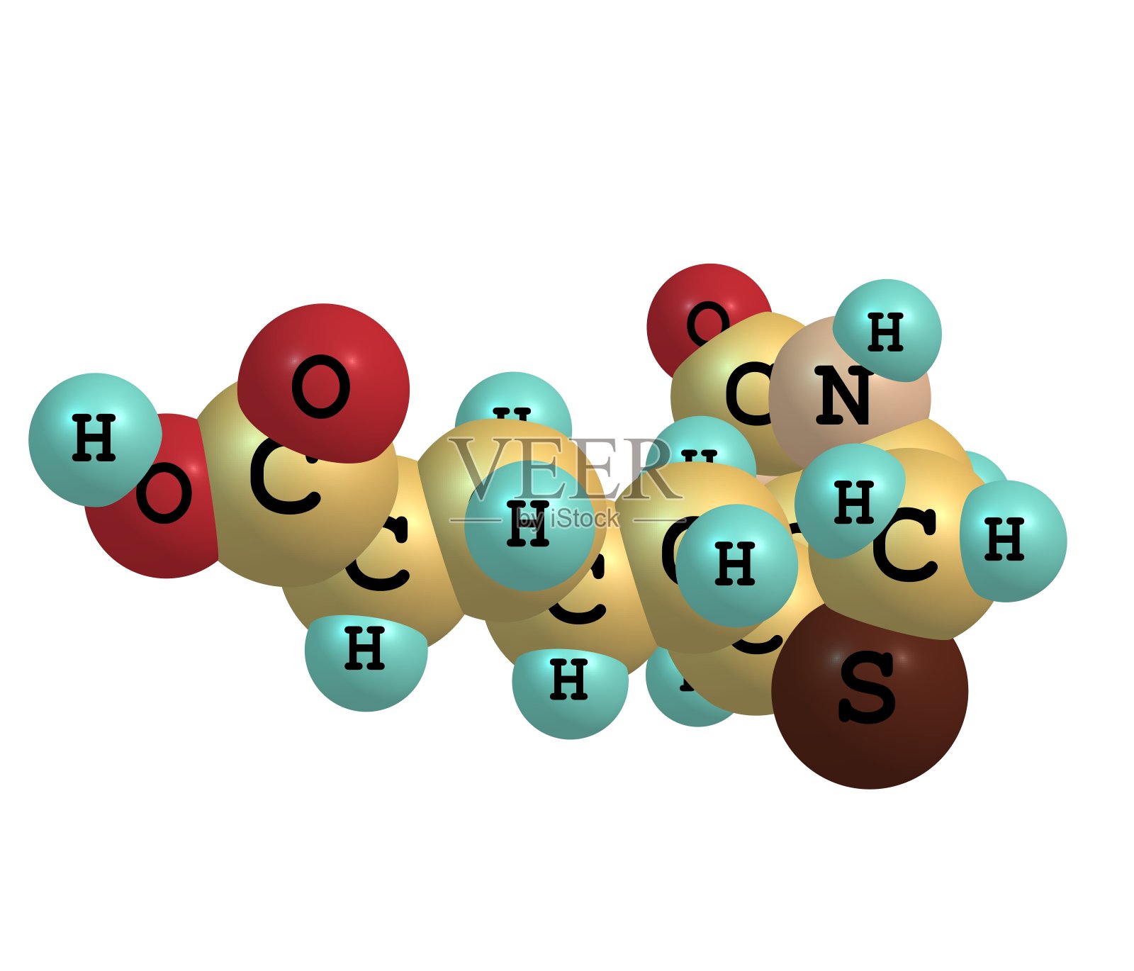 生物素(B7)分子结构，白色背景照片摄影图片