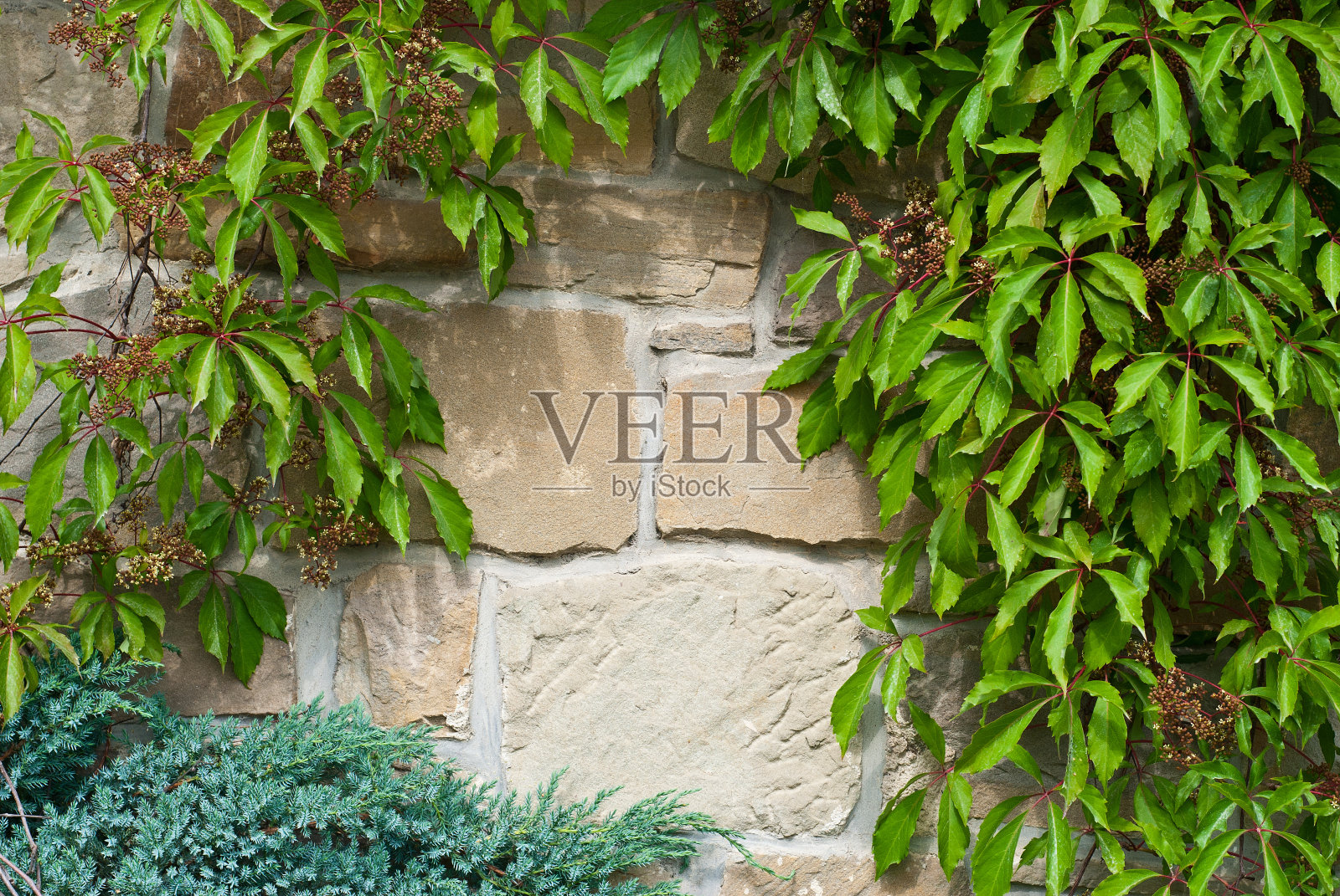 古老的砖墙照片摄影图片