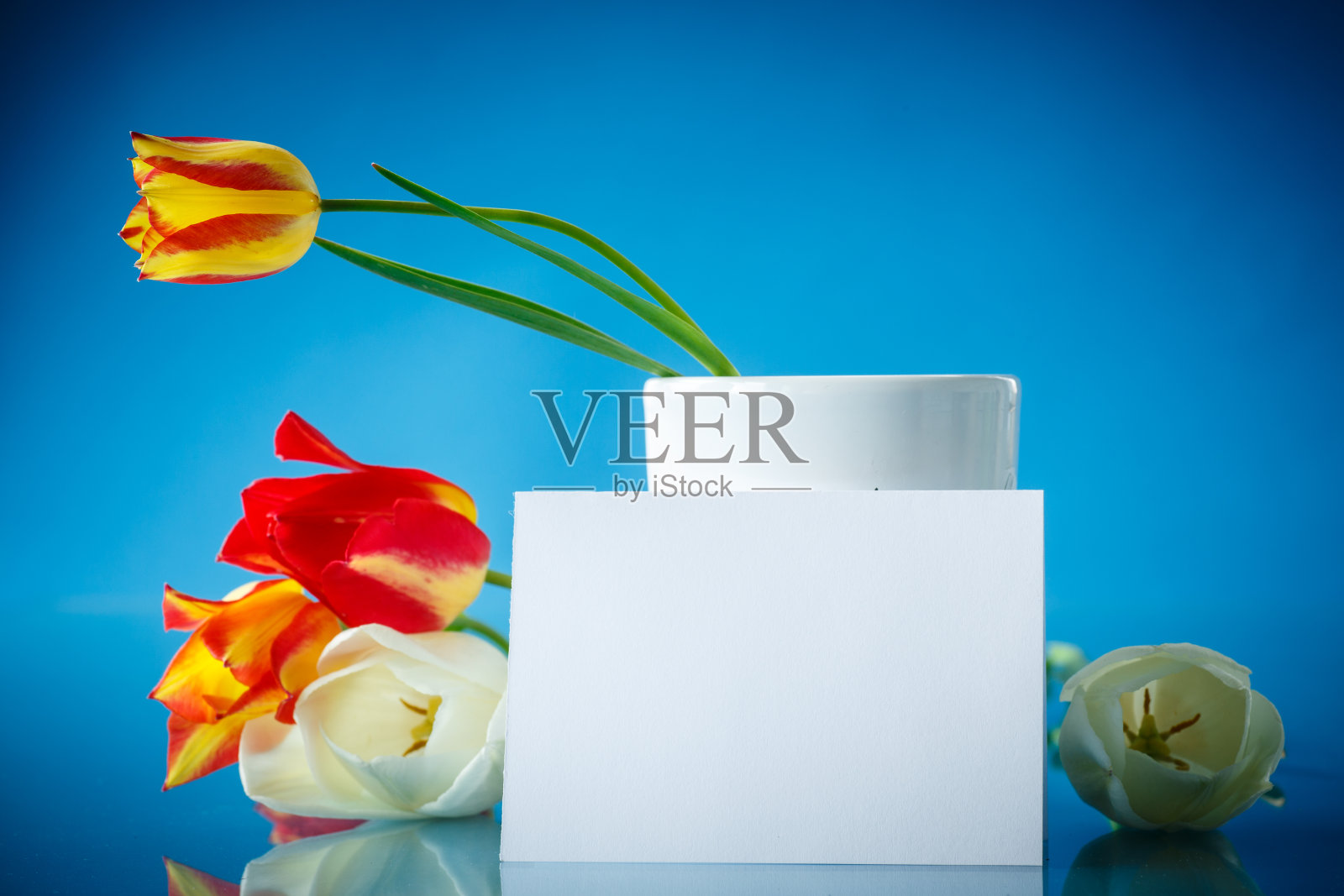 一束春天的郁金香照片摄影图片