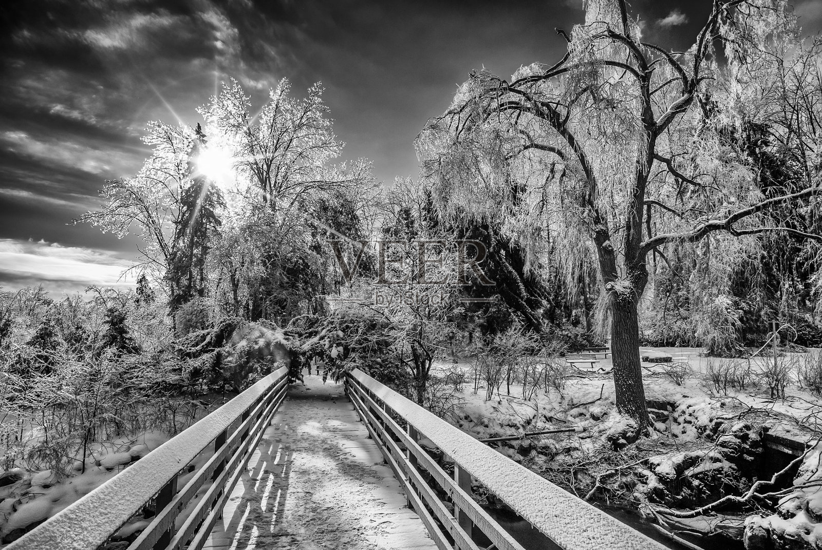 冰冻的桥在一个公园-黑白照片摄影图片