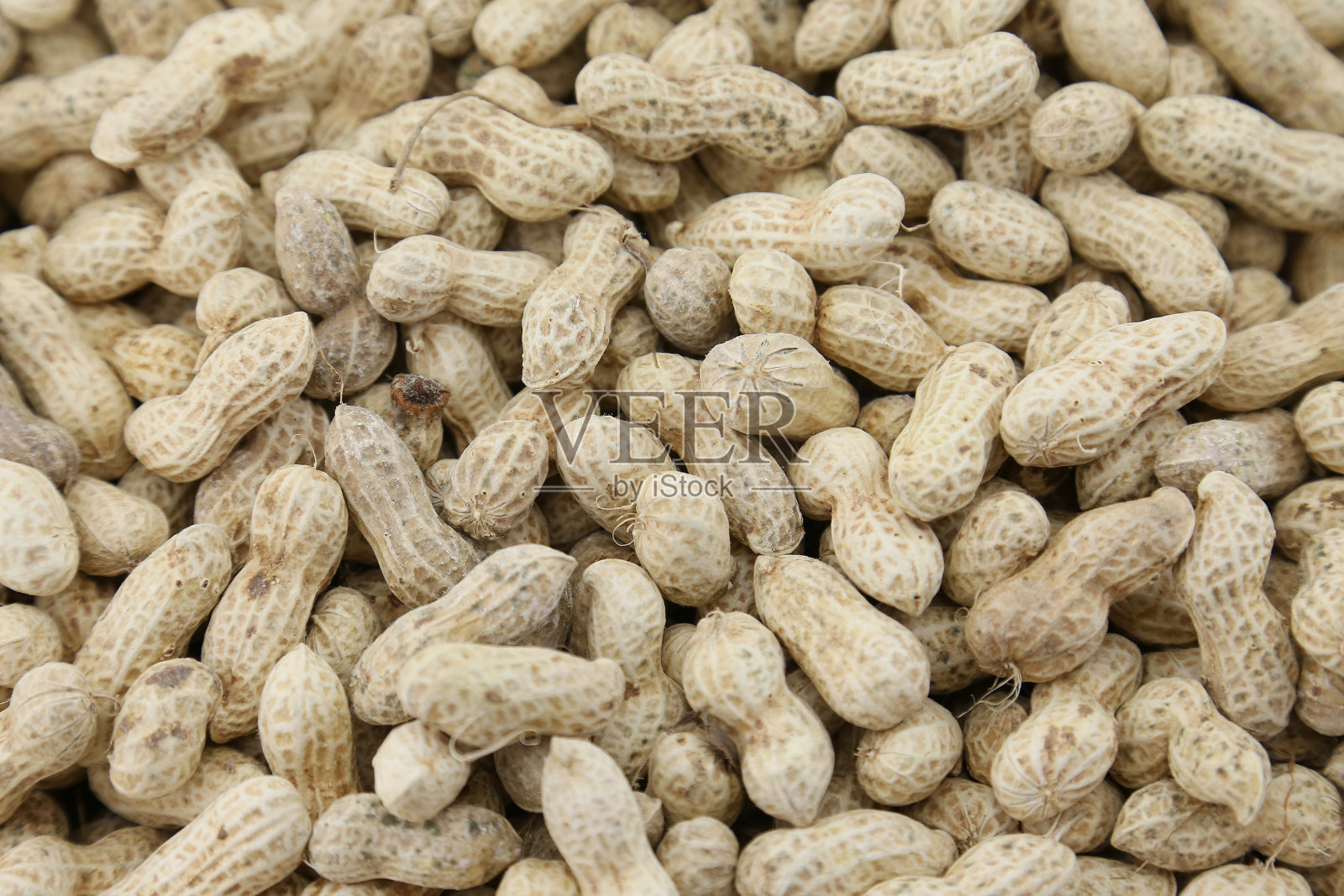 花生照片摄影图片