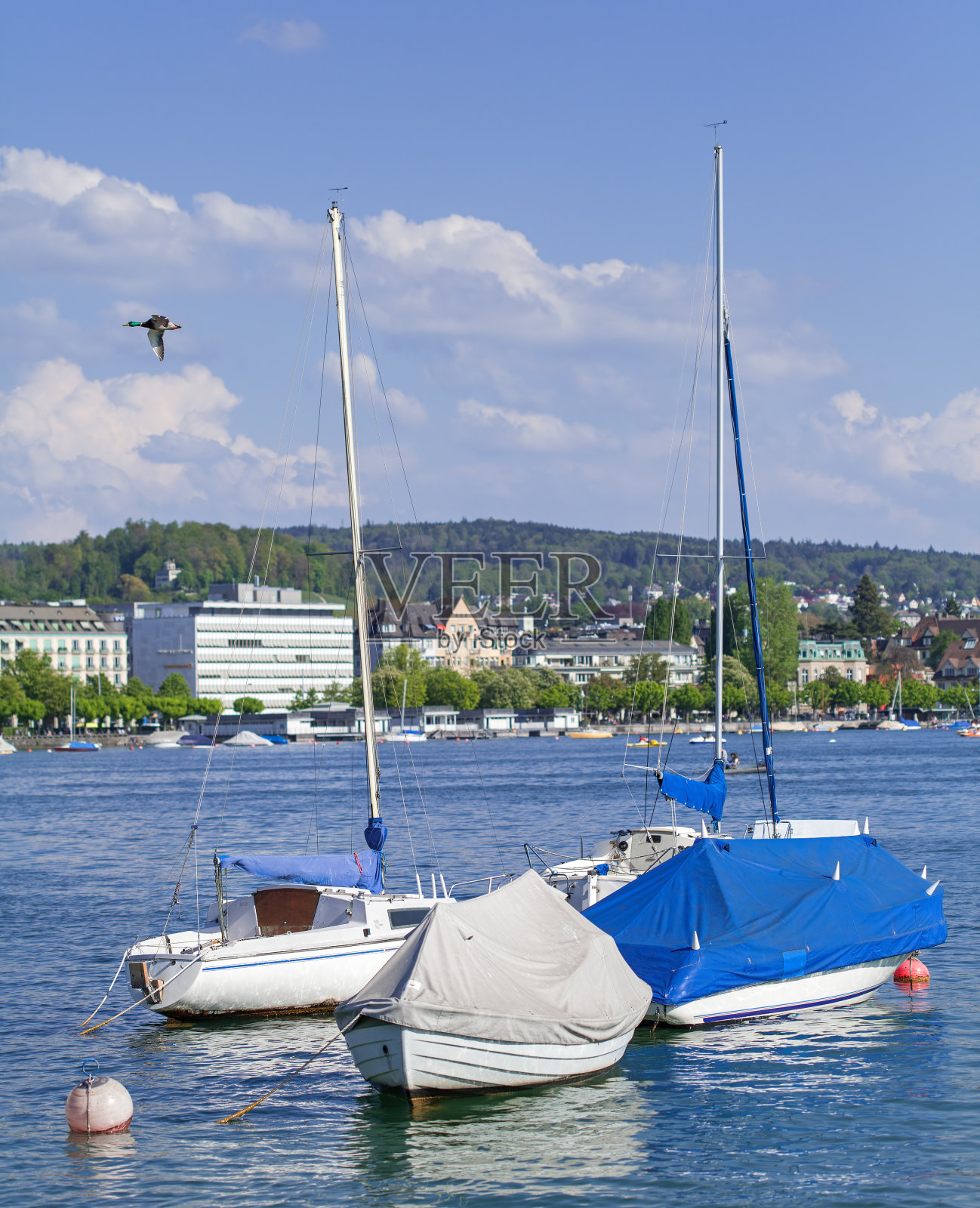 苏黎世湖照片摄影图片