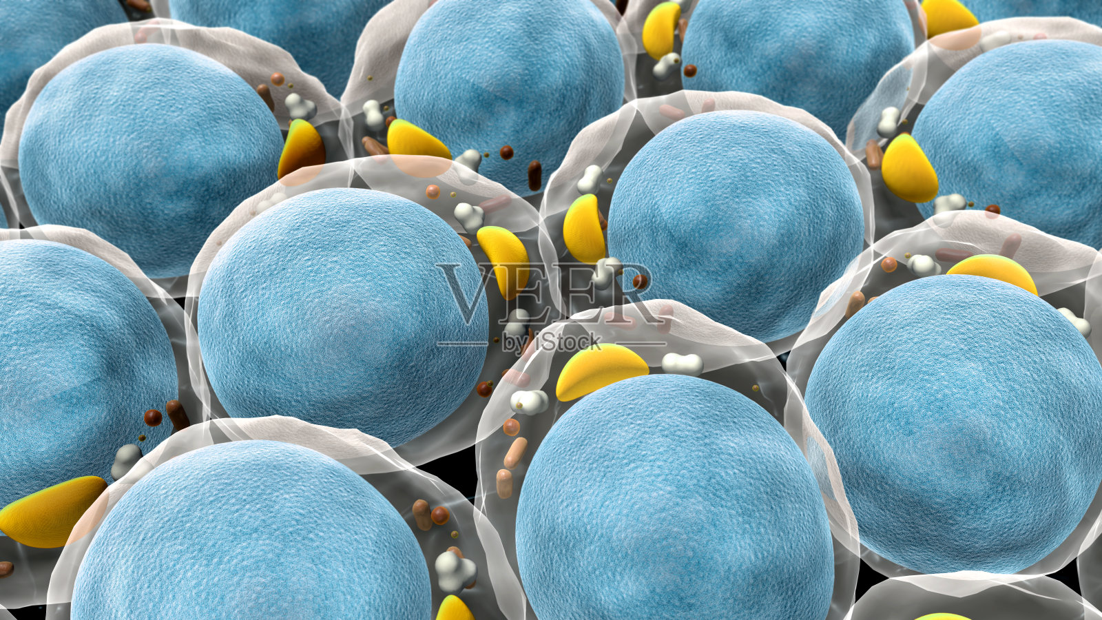 分子结构照片摄影图片