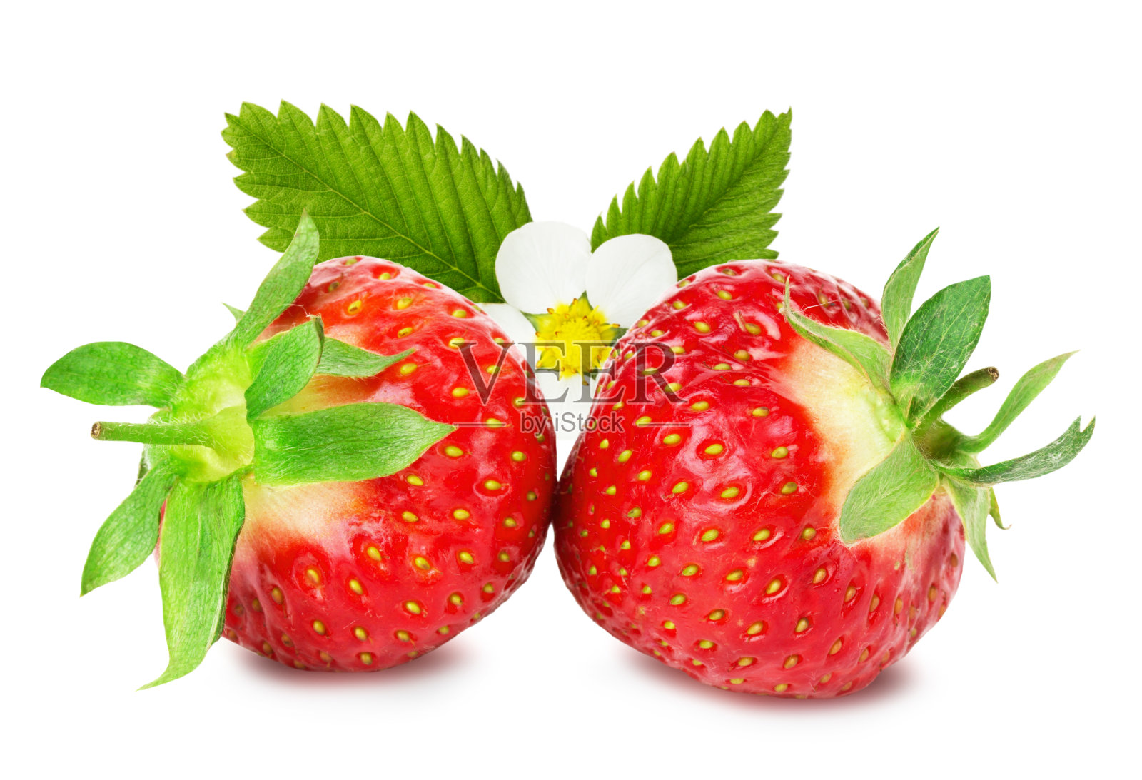 白色背景上多汁的草莓照片摄影图片