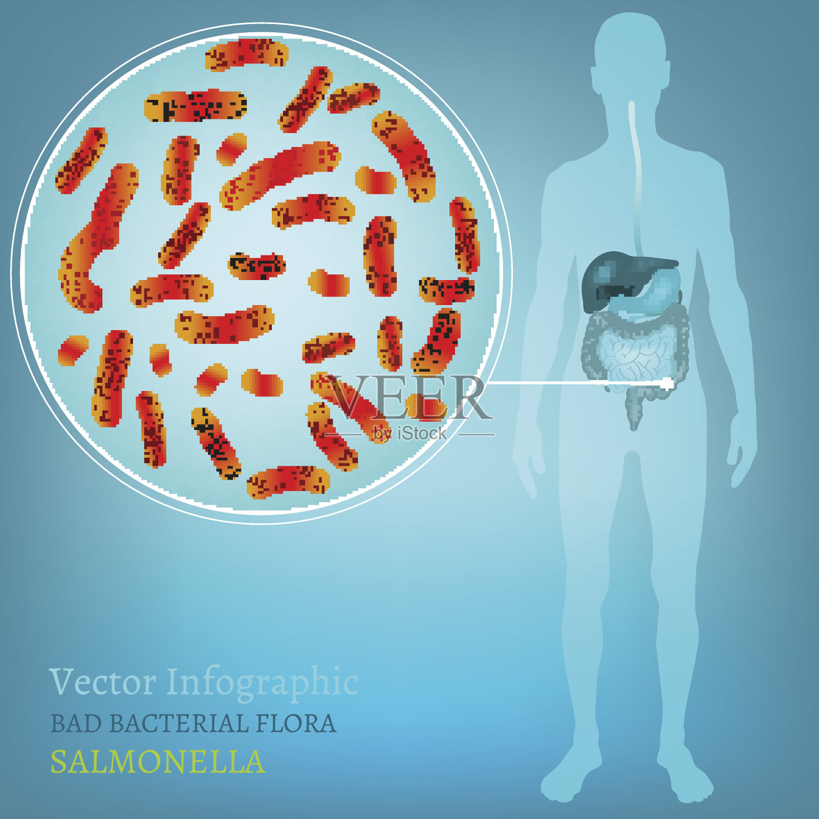 肠道感染01 A-04插画图片素材