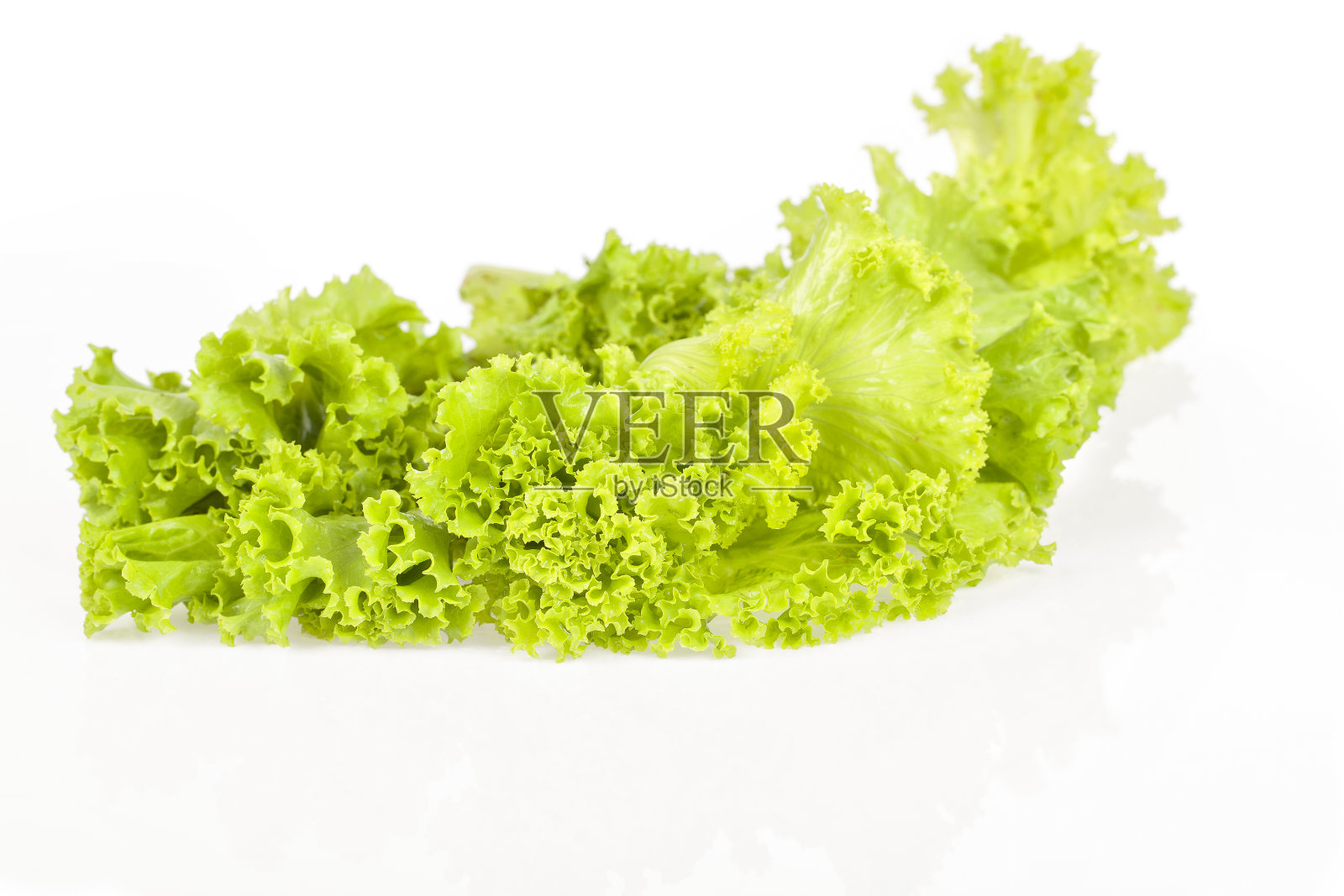 生菜照片摄影图片