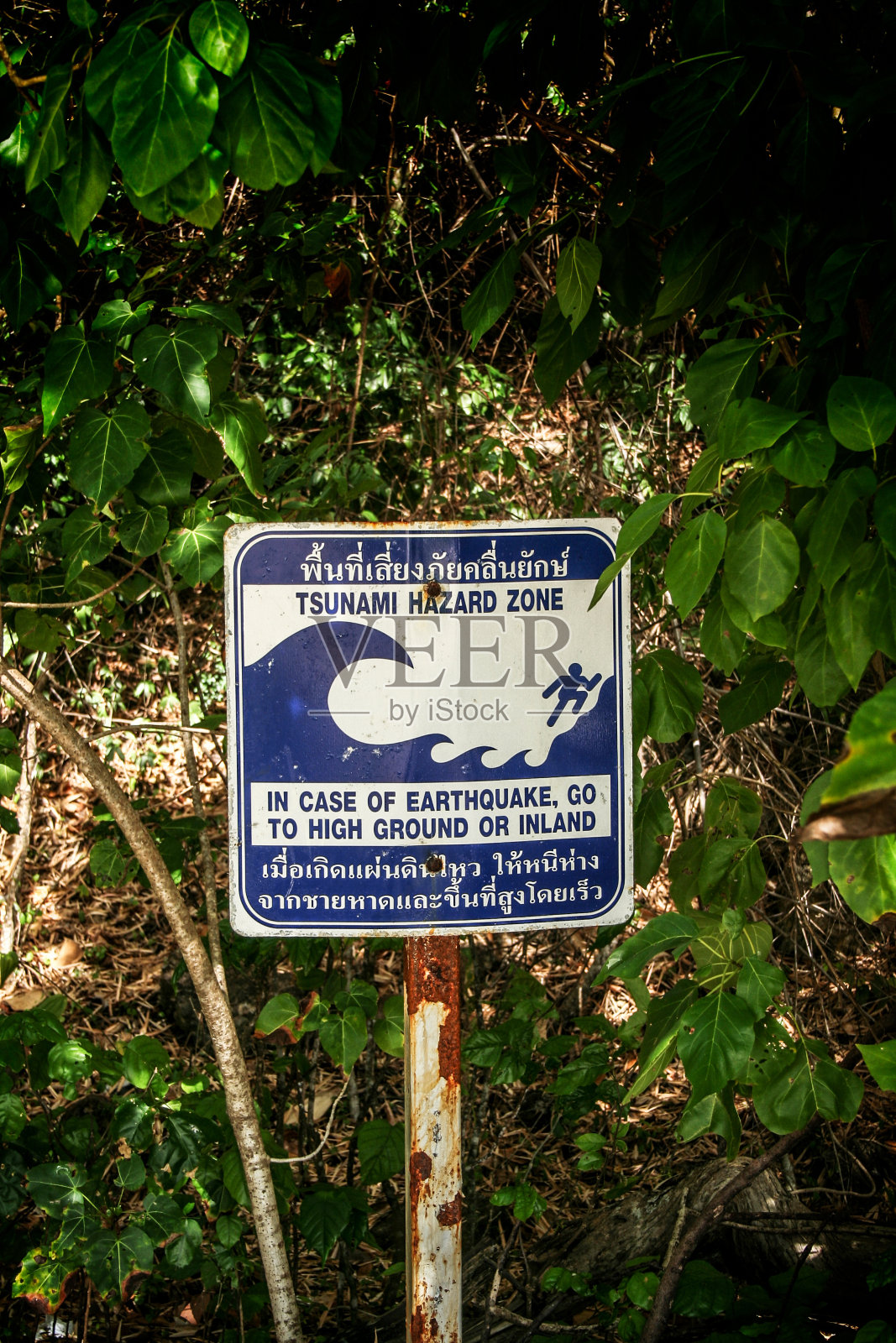 海啸信号照片摄影图片