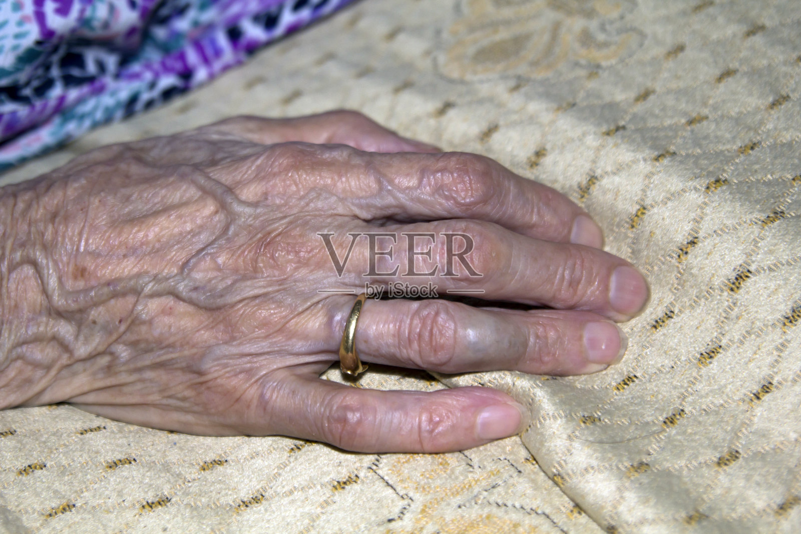 旧手照片摄影图片