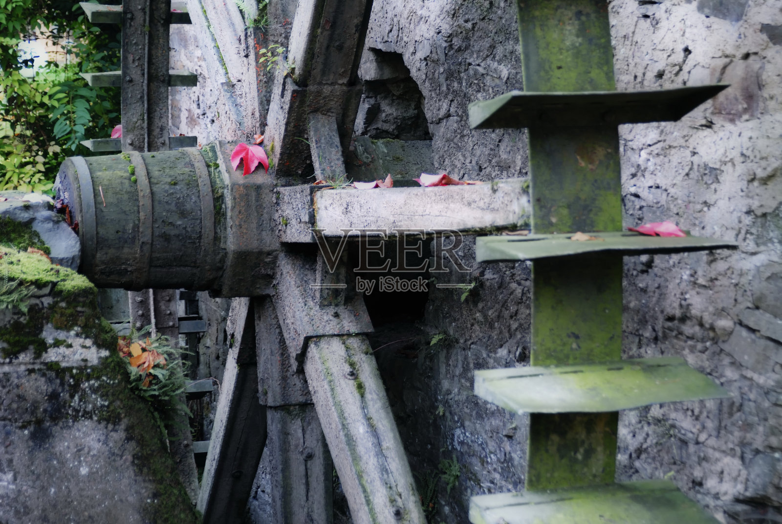 的水车照片摄影图片