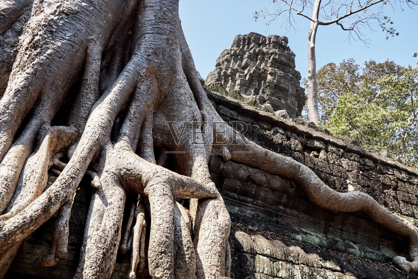 设计元素。废弃的寺庙照片，柬埔寨吴哥窟照片摄影图片