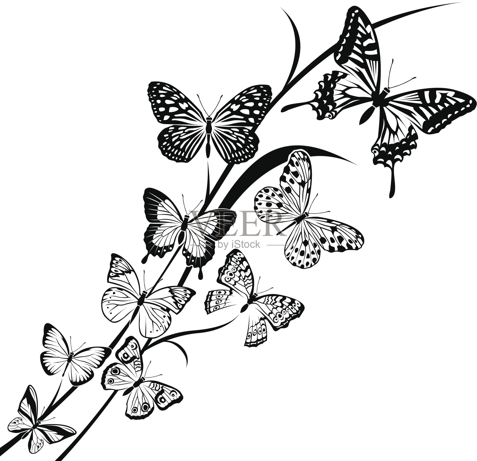 蝴蝶设计插画图片素材