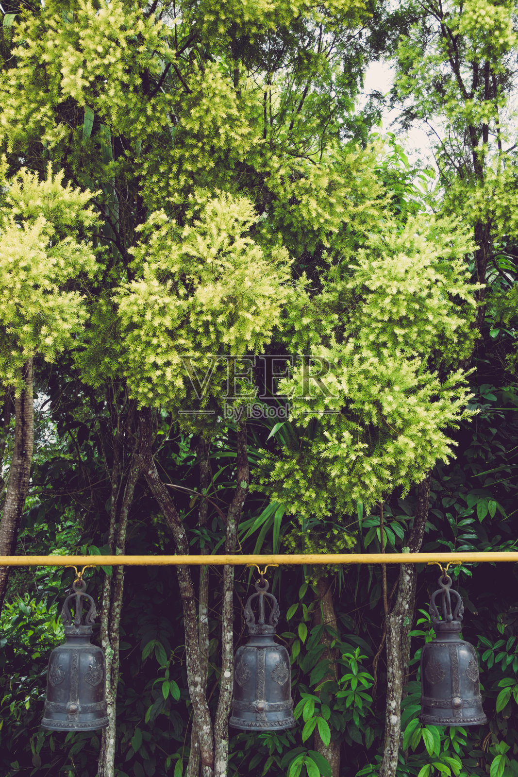 泰国寺庙里的钟照片摄影图片