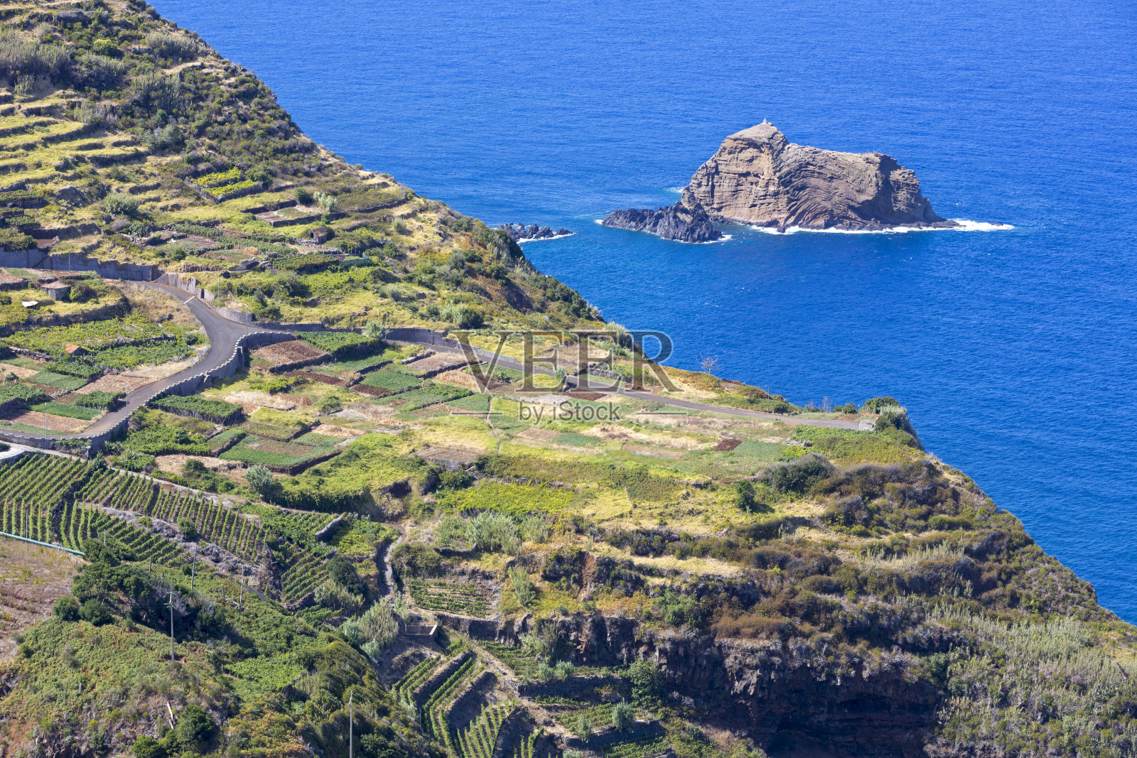 马德拉(葡萄牙)岛上的农业照片摄影图片