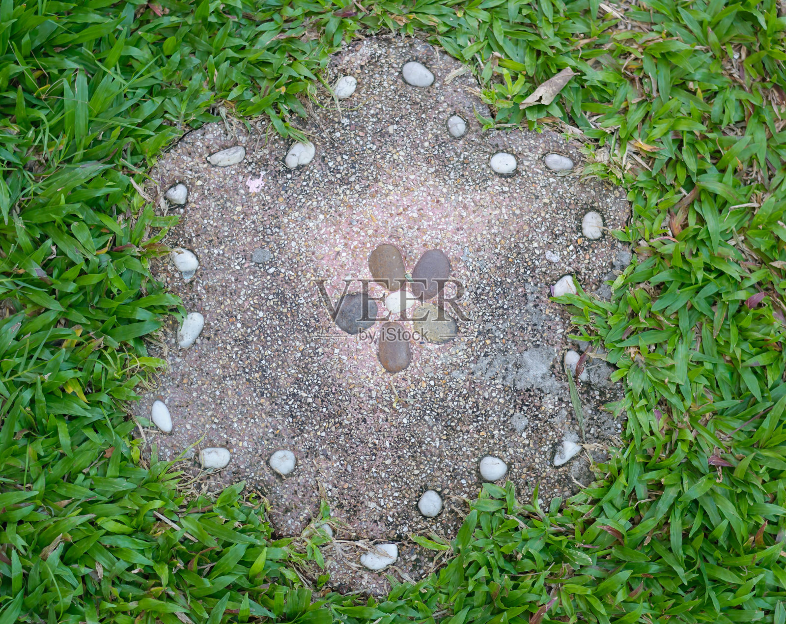 石花挡绿草照片摄影图片