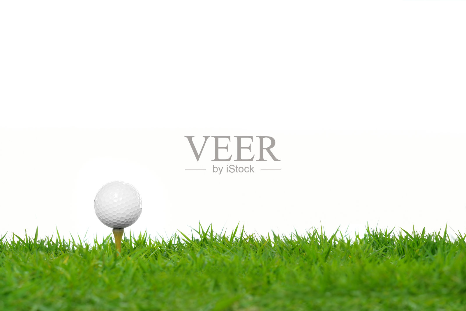 草地上的高尔夫球照片摄影图片