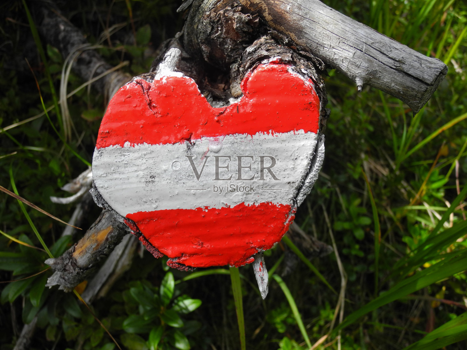 我喜欢奥地利照片摄影图片