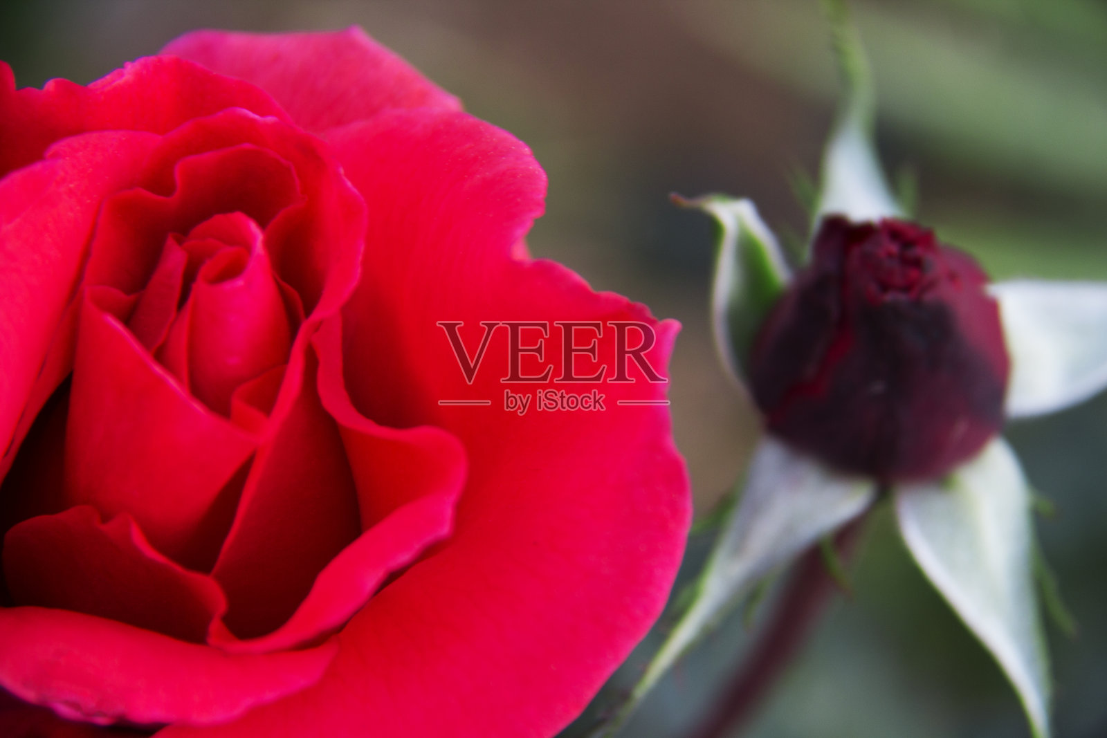 增加细节照片摄影图片