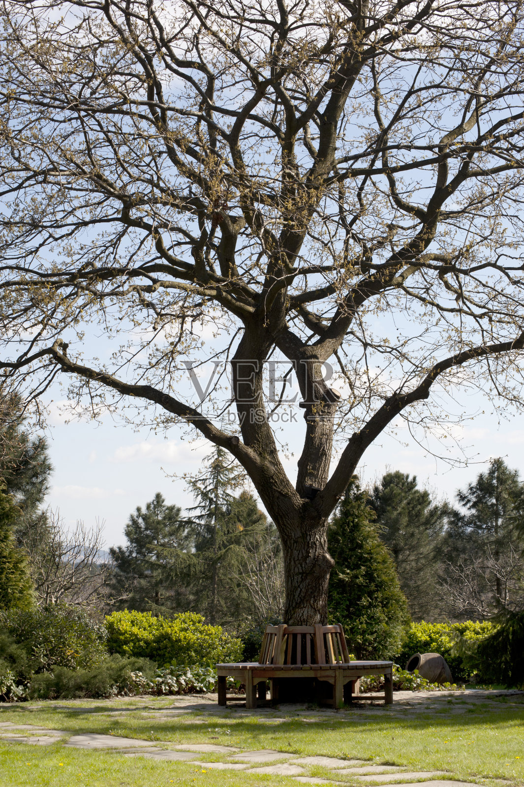 板凳和公园照片摄影图片
