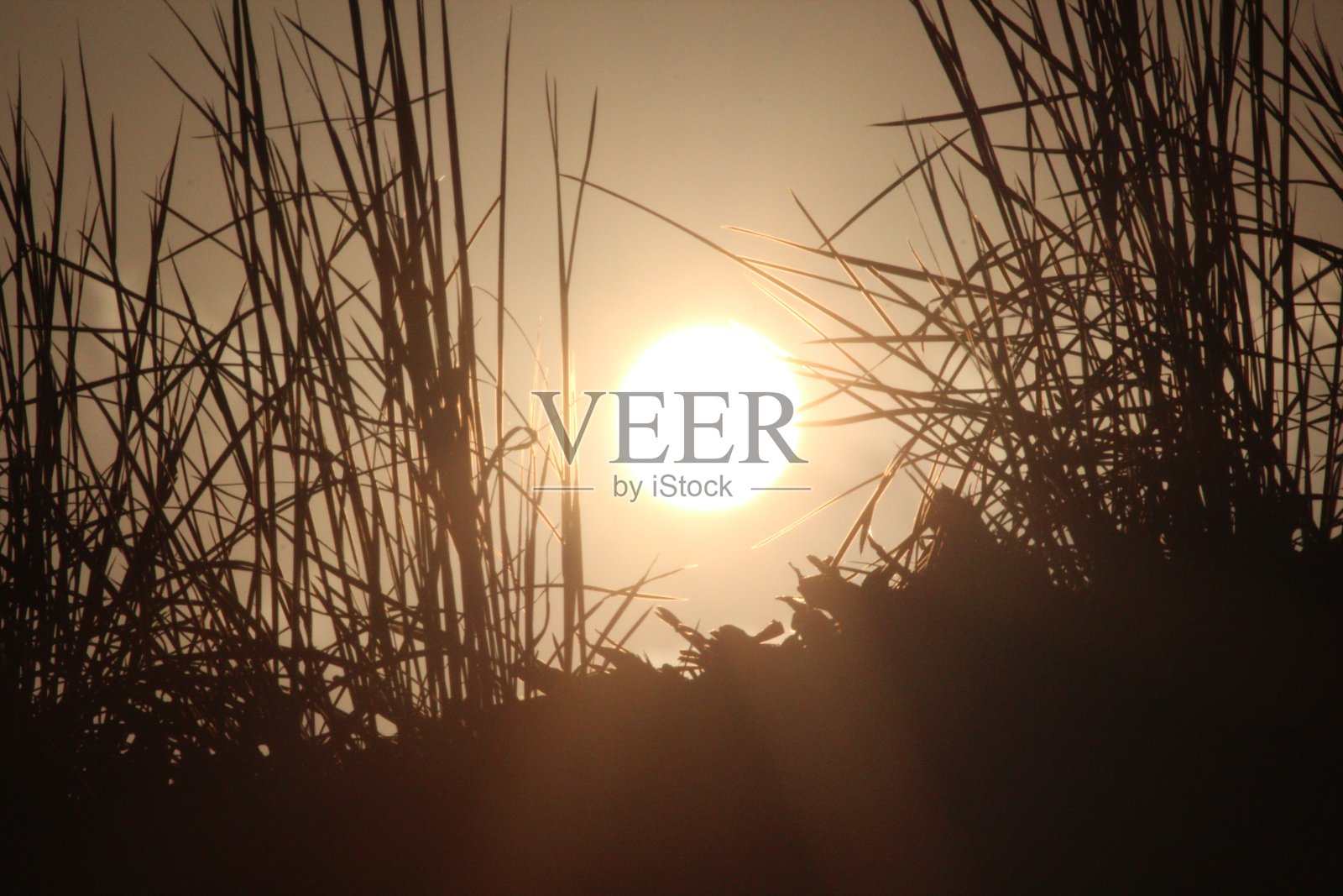 日落照片摄影图片