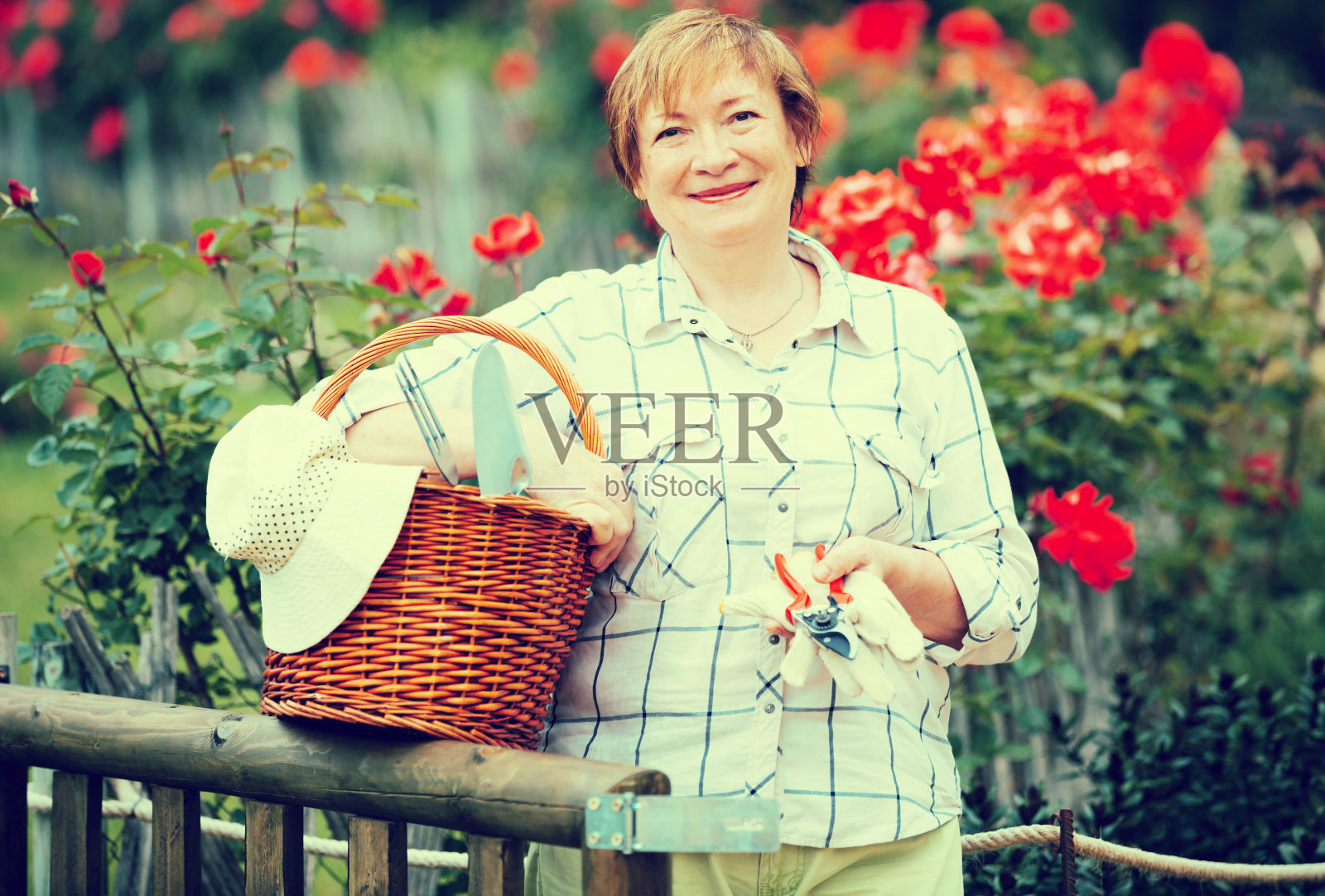 退休人员园丁篮子照片摄影图片