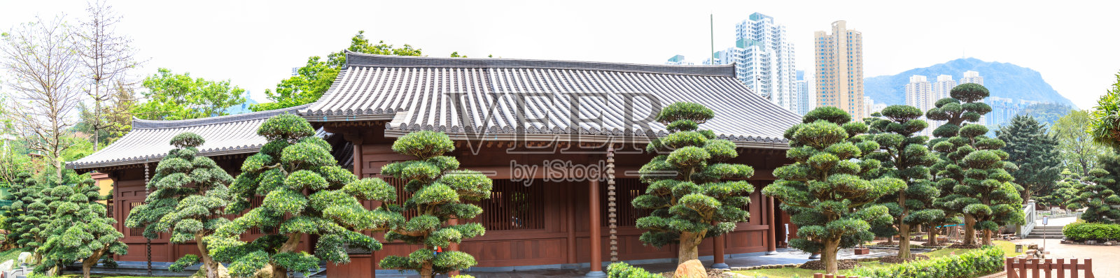 南莲花园。照片摄影图片