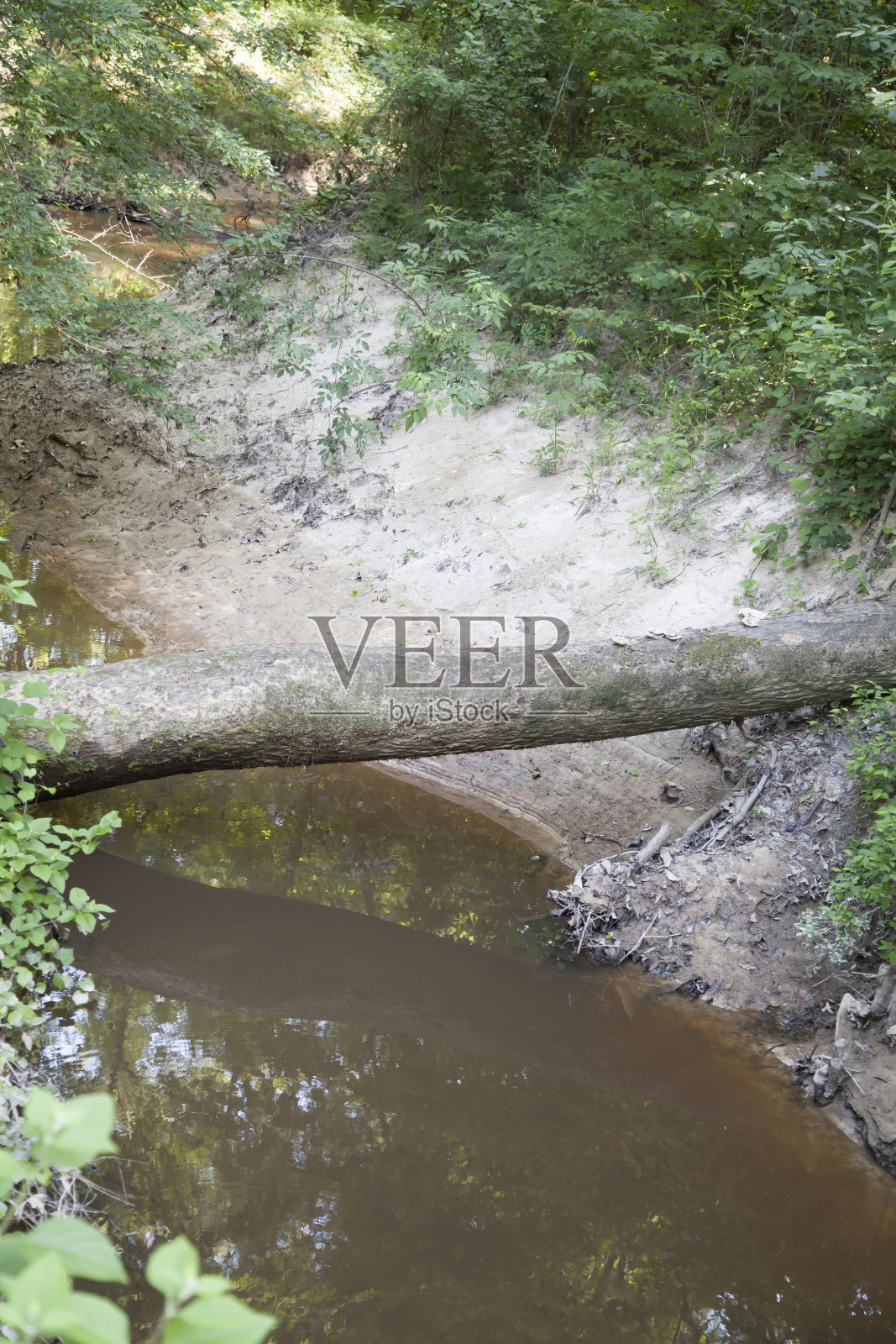 国家流照片摄影图片