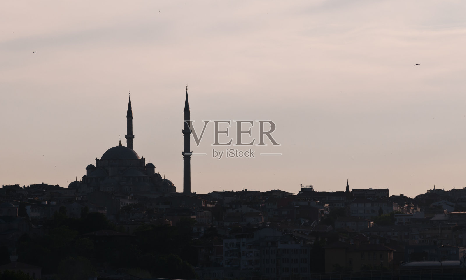 苏莱马尼耶清真寺照片摄影图片