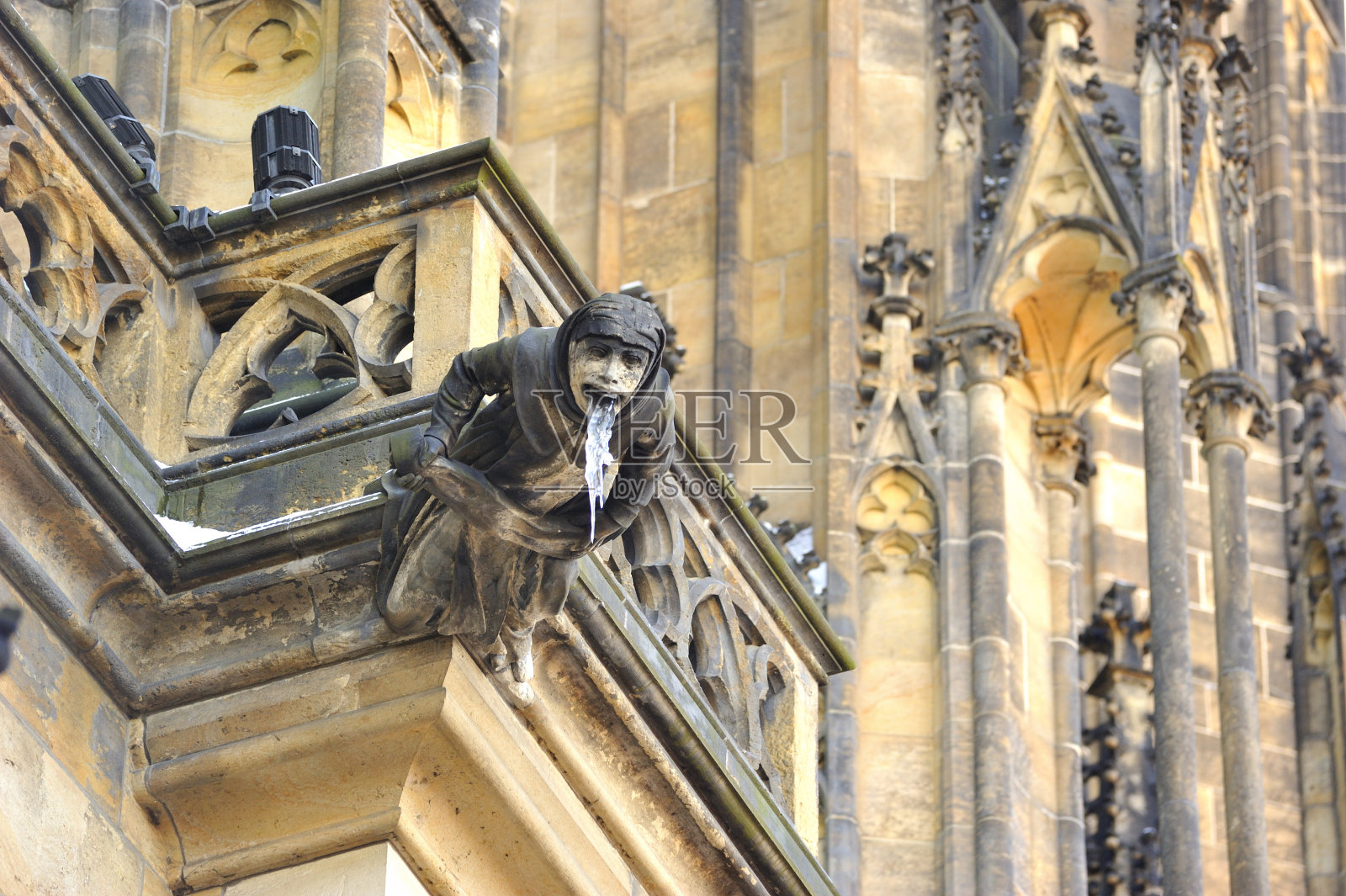 圣威图斯大教堂的滴水嘴兽照片摄影图片