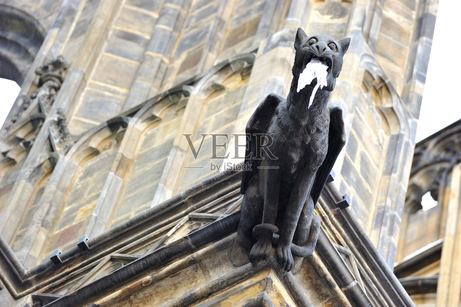 圣威图斯大教堂的滴水嘴兽照片摄影图片