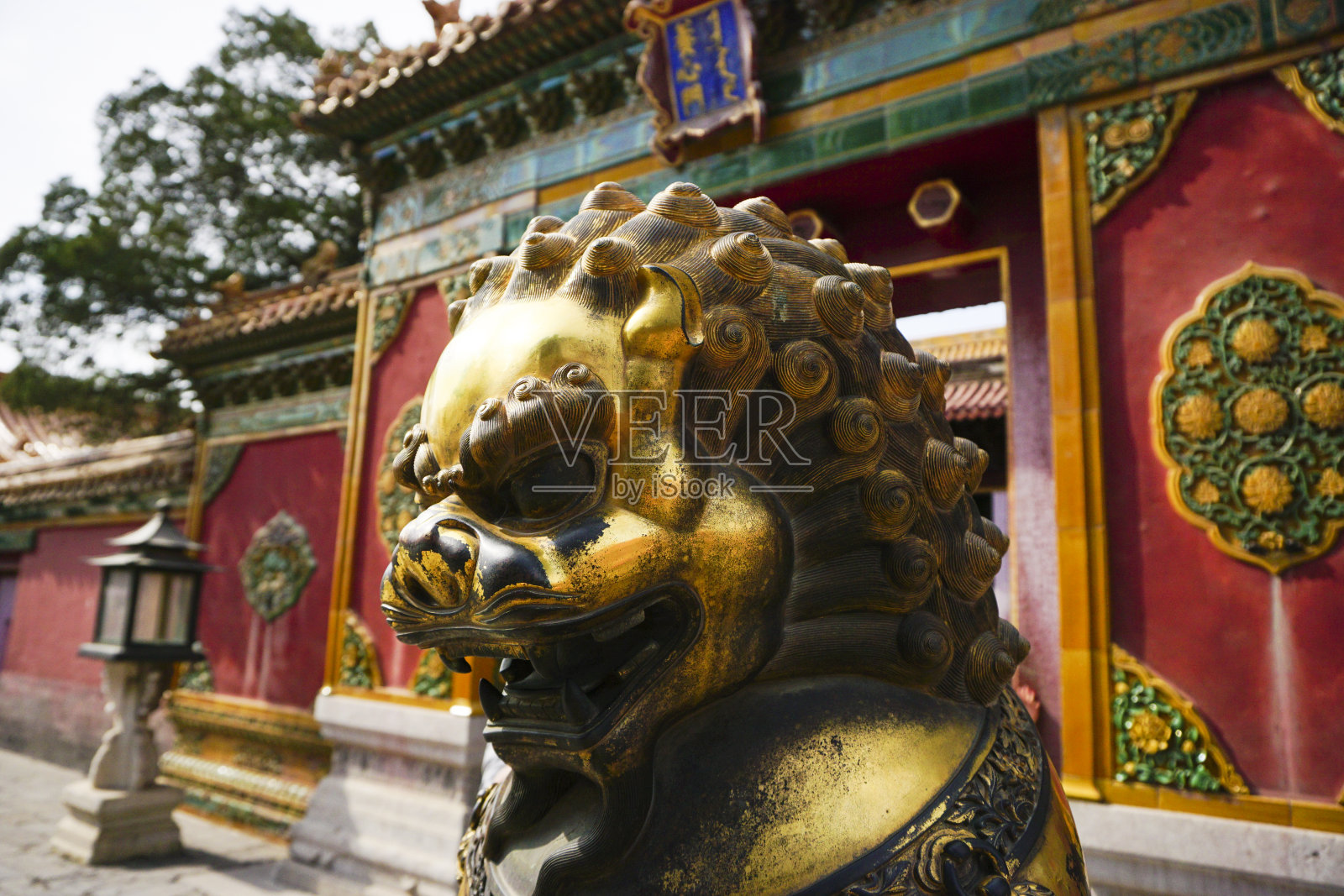紫禁城的狮子头照片摄影图片