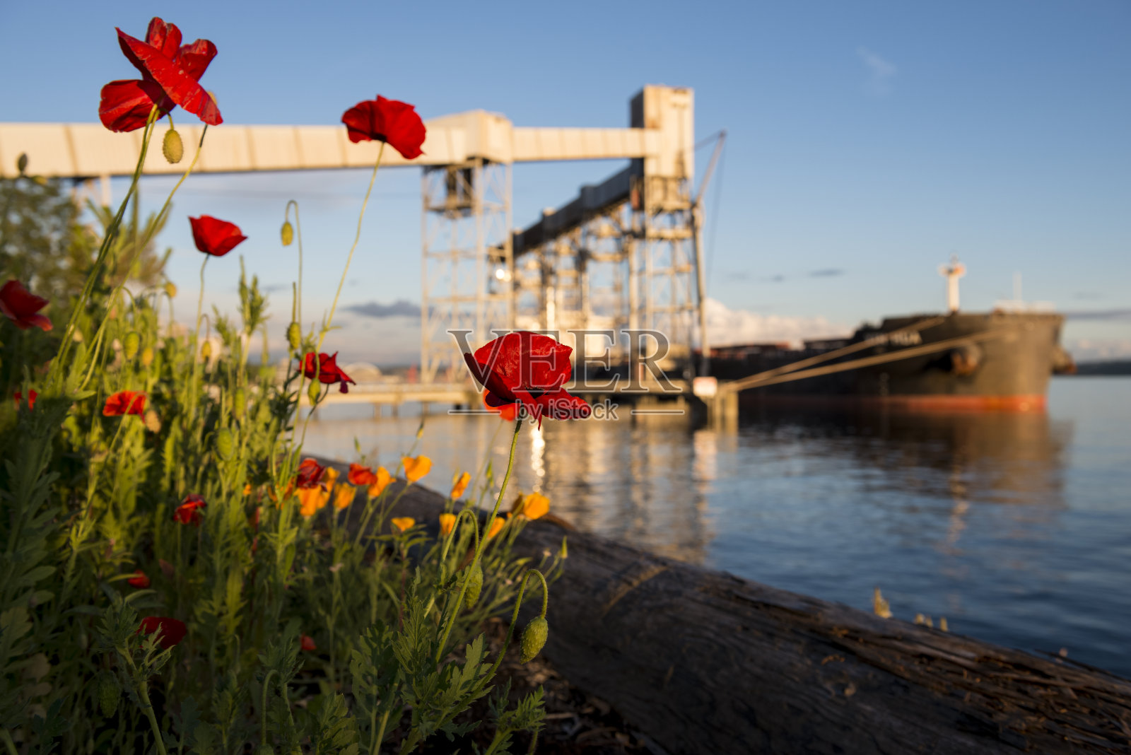鲜花和油轮照片摄影图片