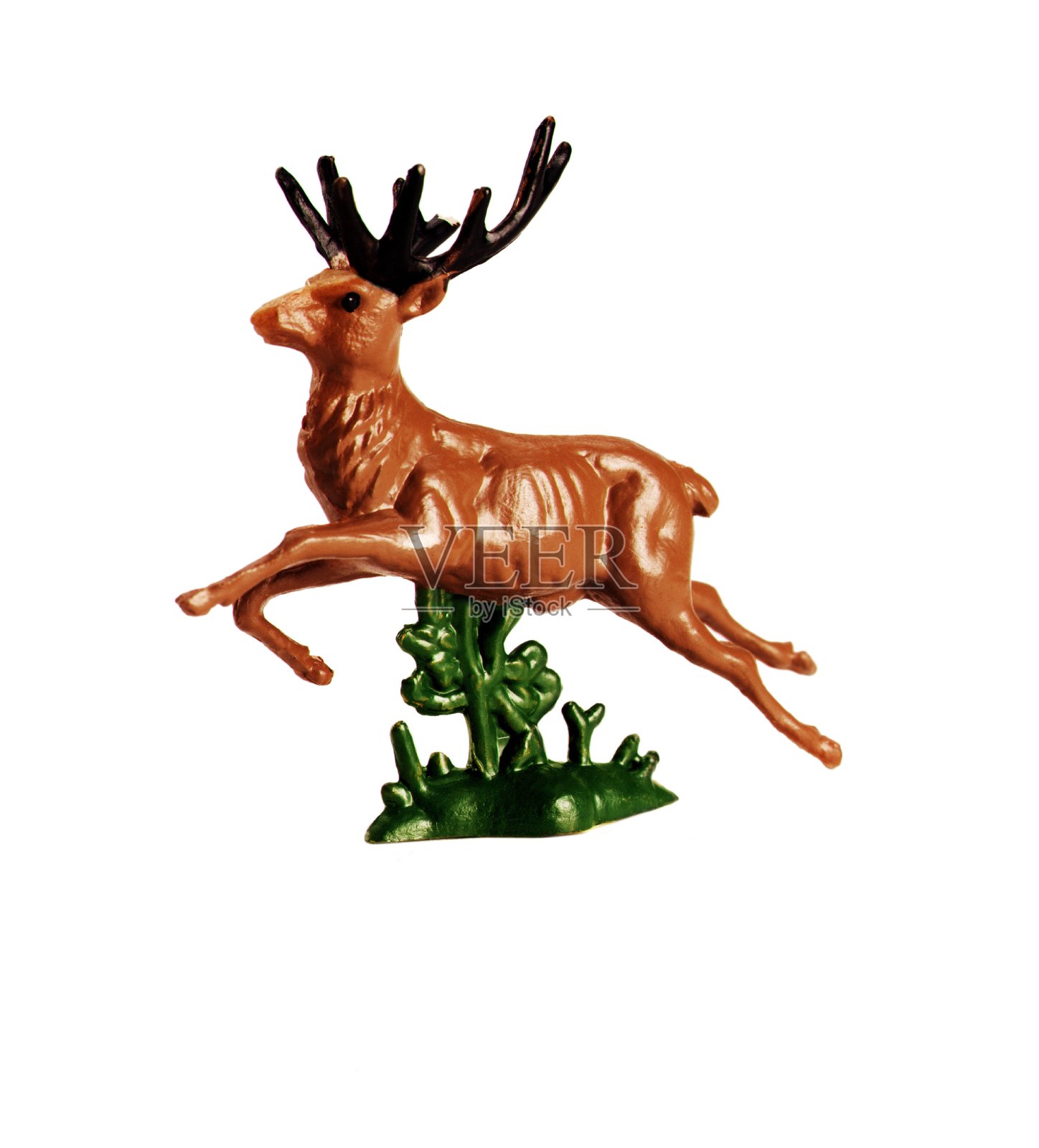 跳跃的巴克照片摄影图片