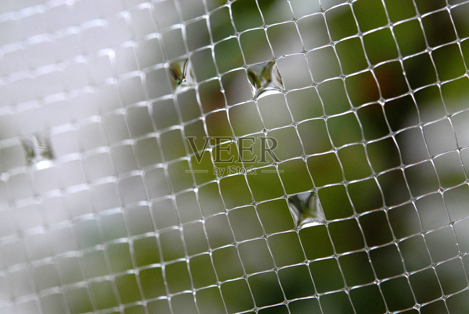 水滴填充在一个塑料网的正方形照片摄影图片