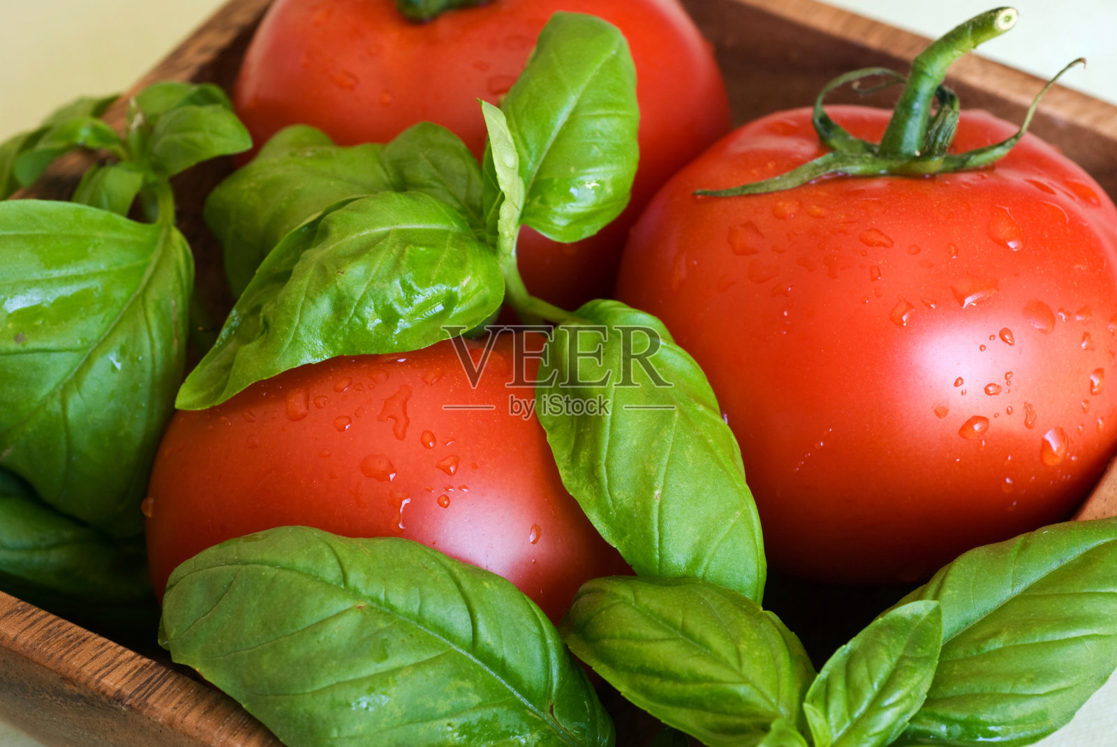 新鲜番茄和罗勒照片摄影图片