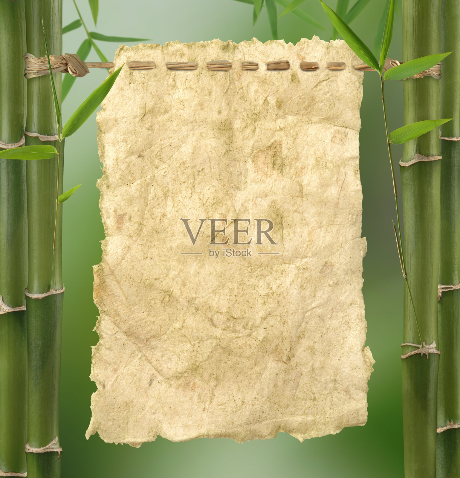 环境的海报照片摄影图片