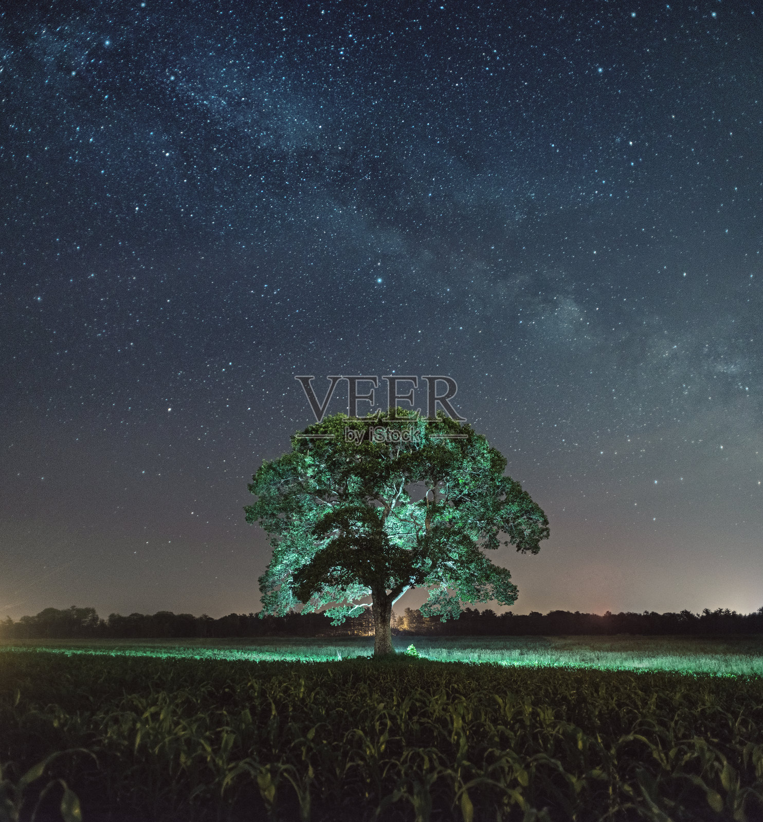 在星空下照片摄影图片
