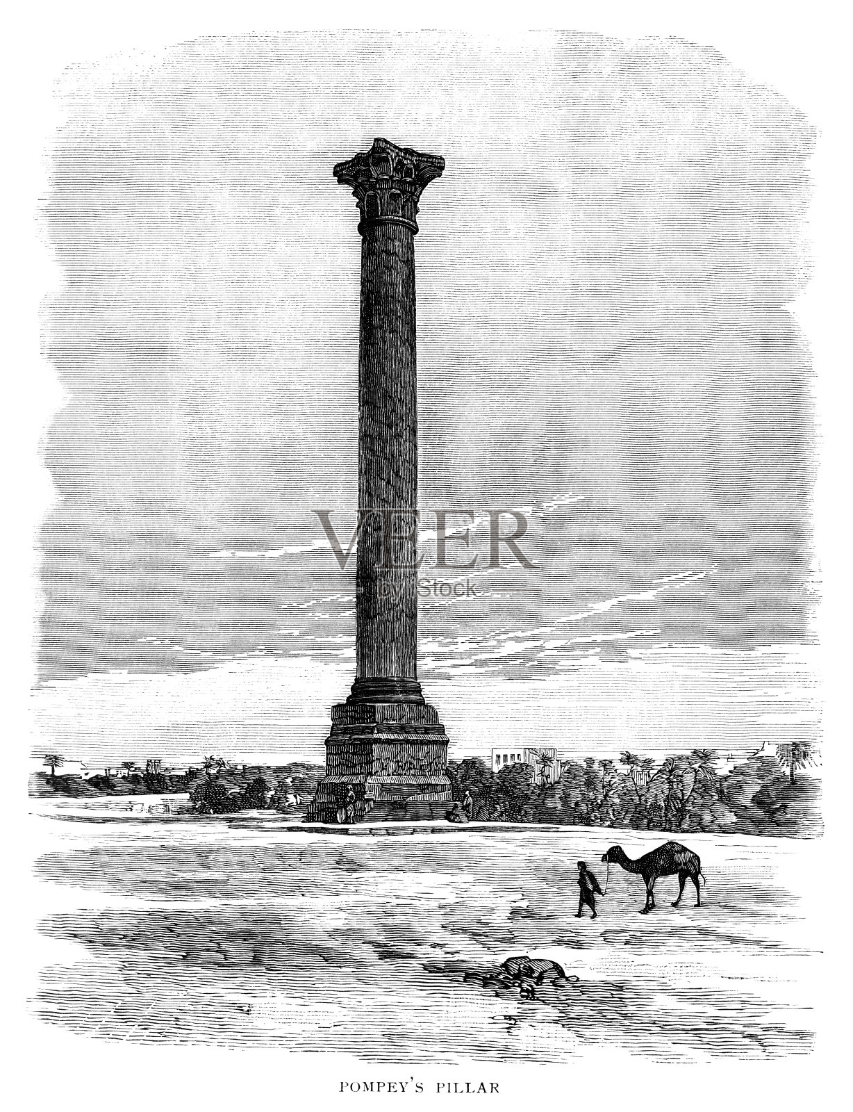 埃及亚历山大的庞培柱插画图片素材