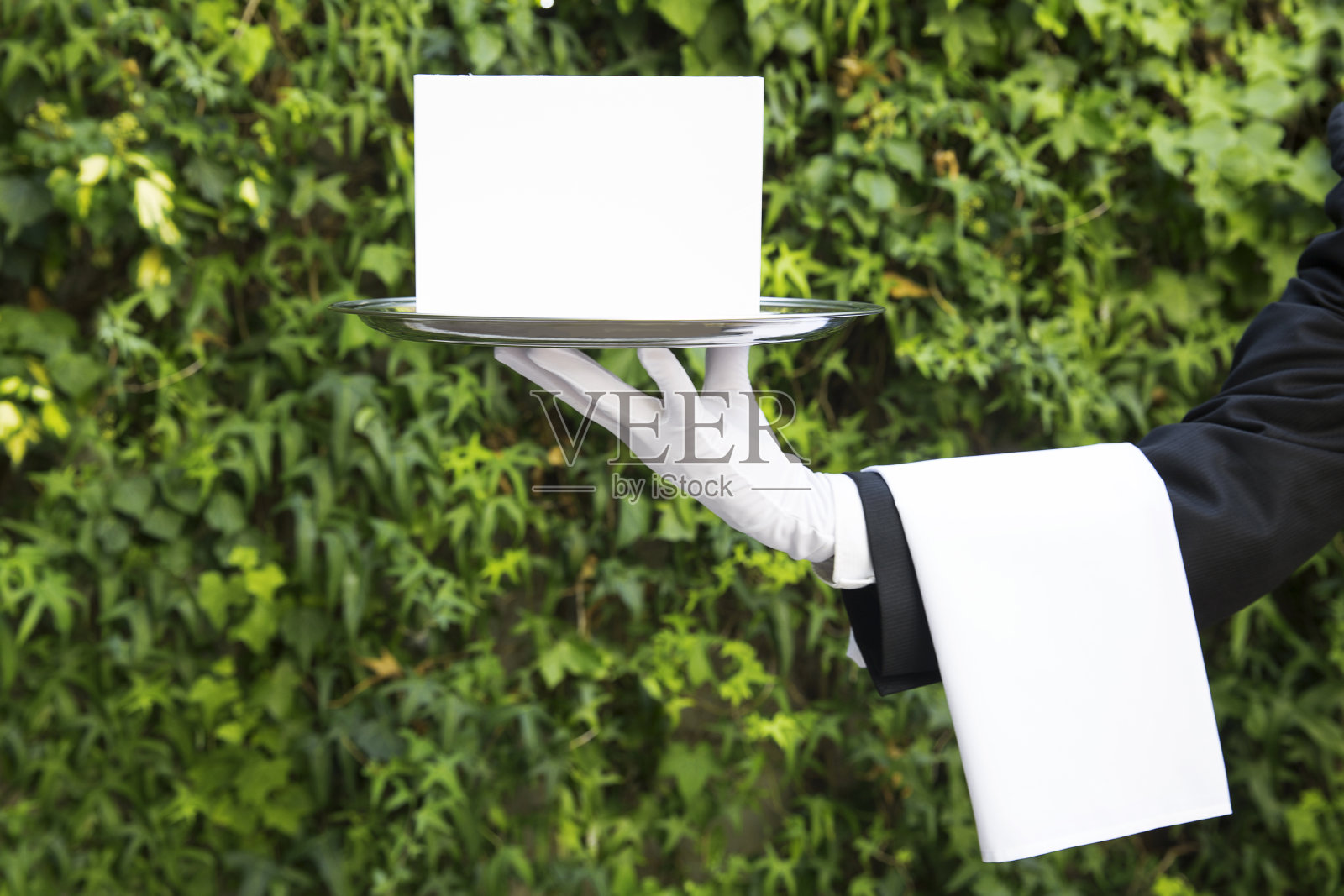 通知给你照片摄影图片