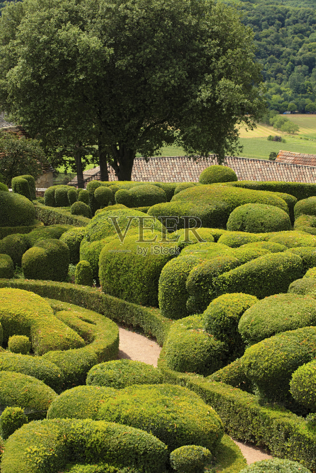 多尔多涅河Vézac的马奎萨克的修剪花园照片摄影图片