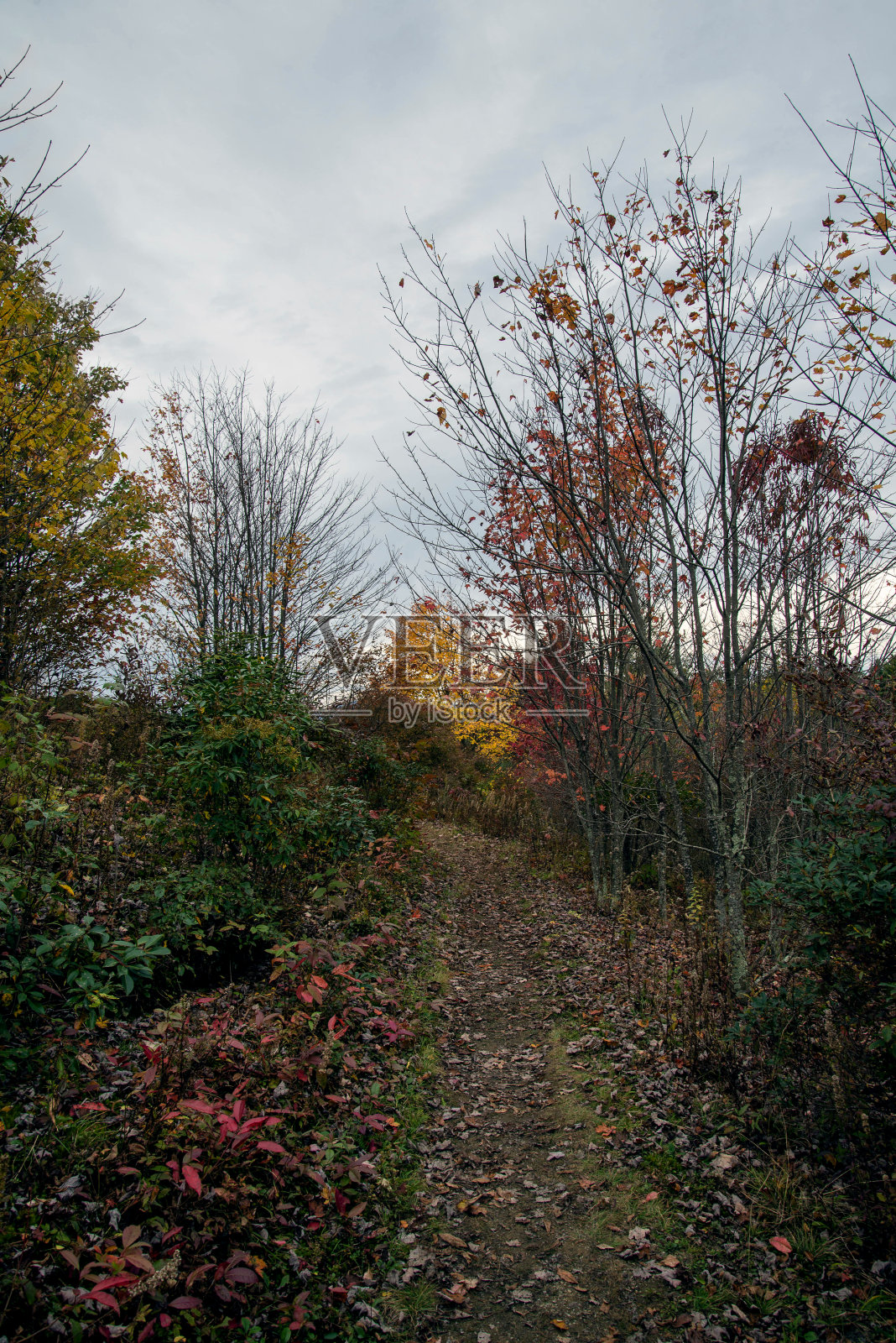 秋天的风景照片摄影图片