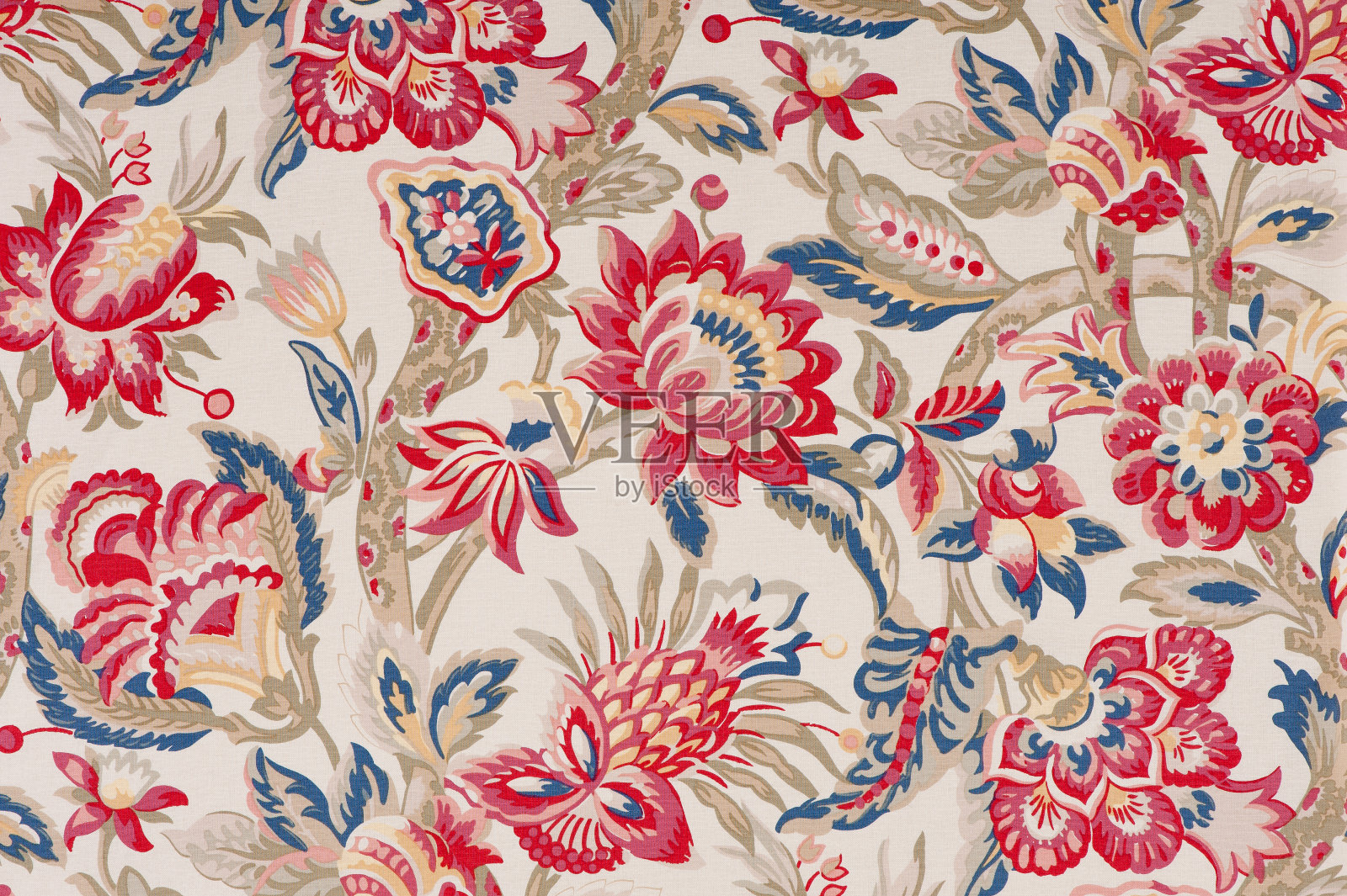 弗洛拉·班达特写照片摄影图片