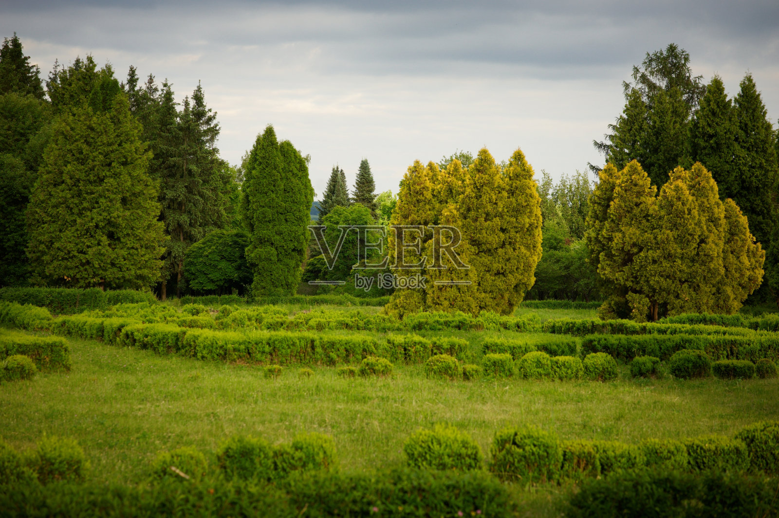 格林公园照片摄影图片