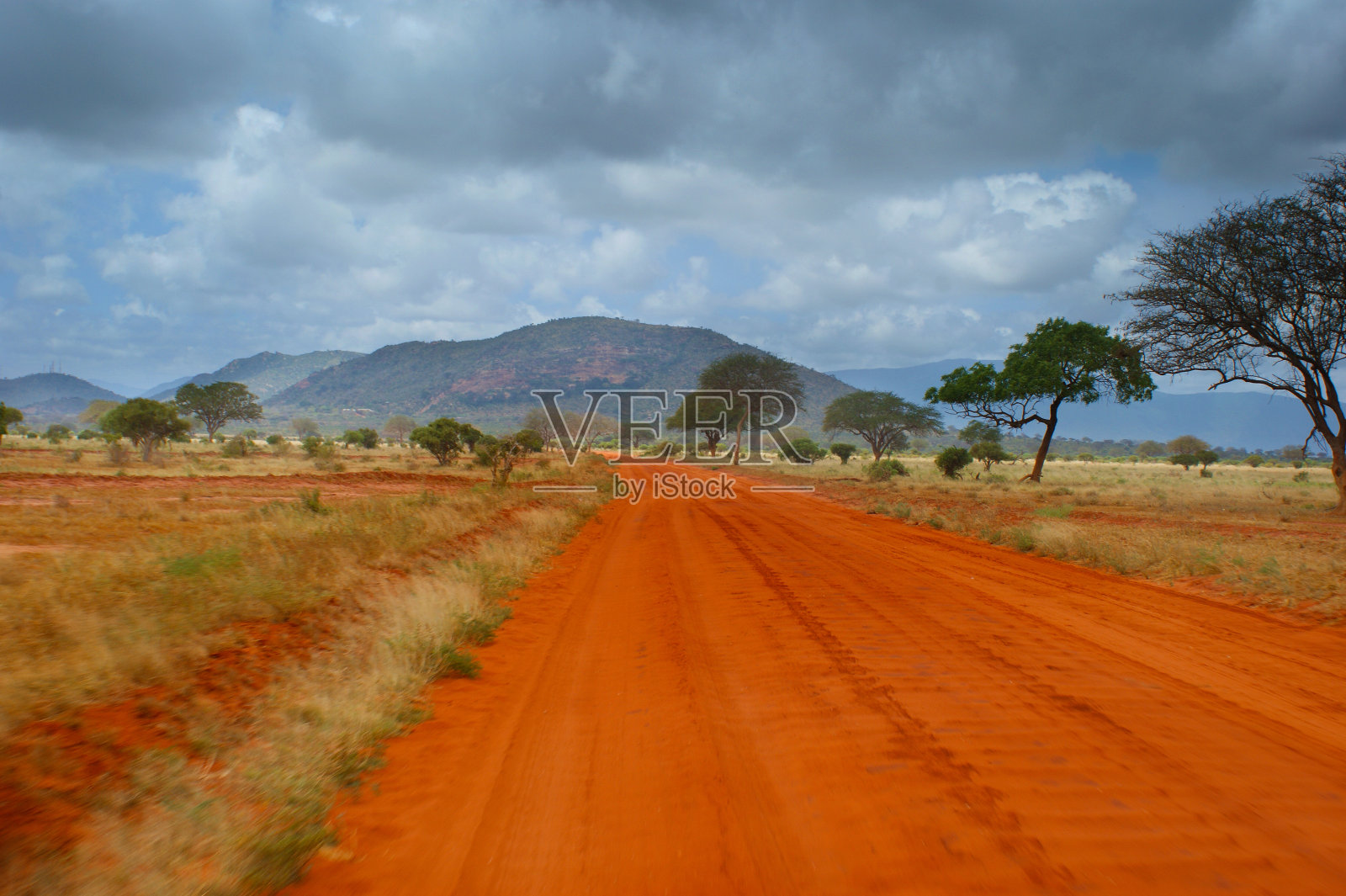 非洲大草原照片摄影图片